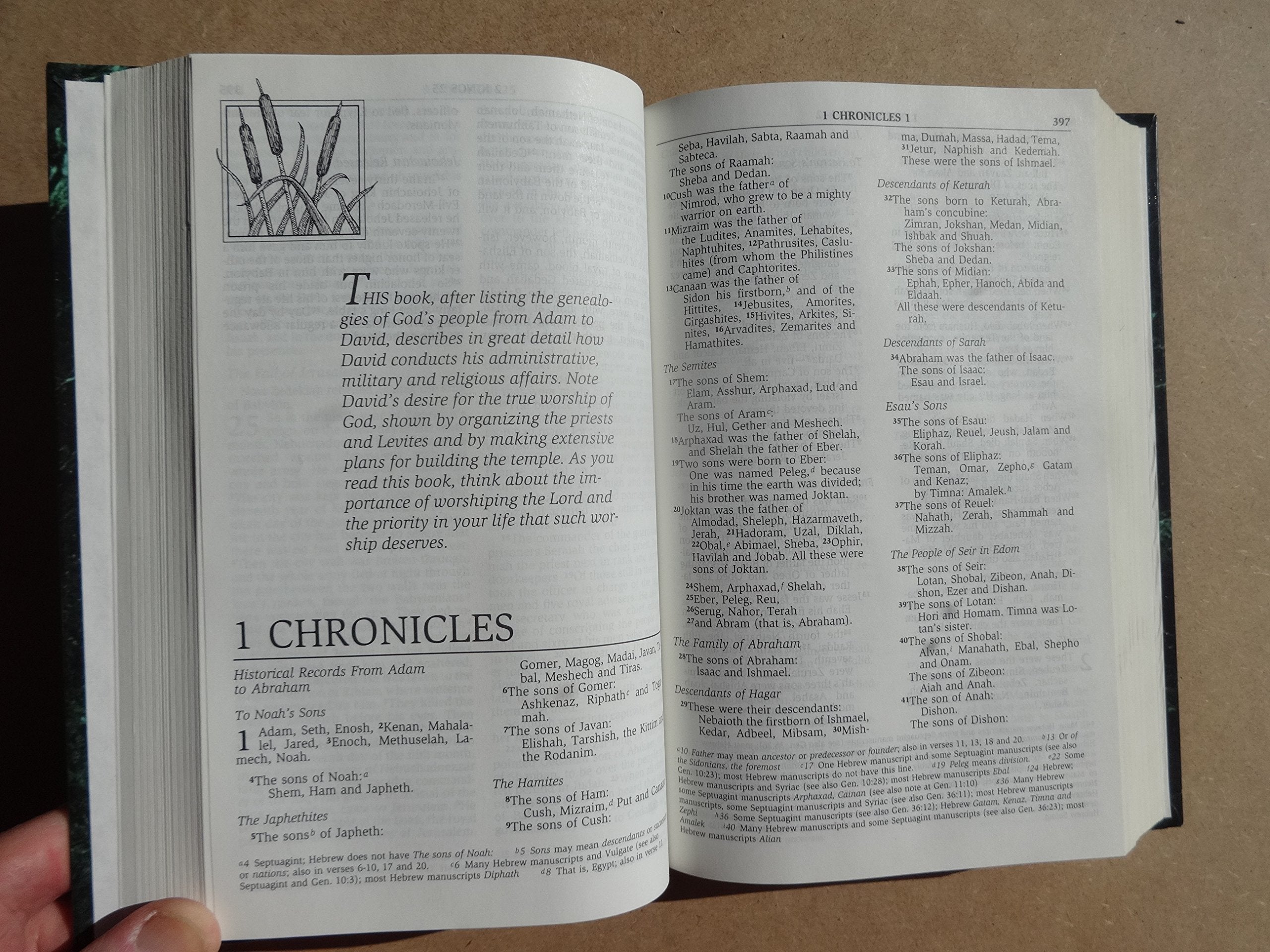 NIV Men's Devotional Bible: New International Version used book depot