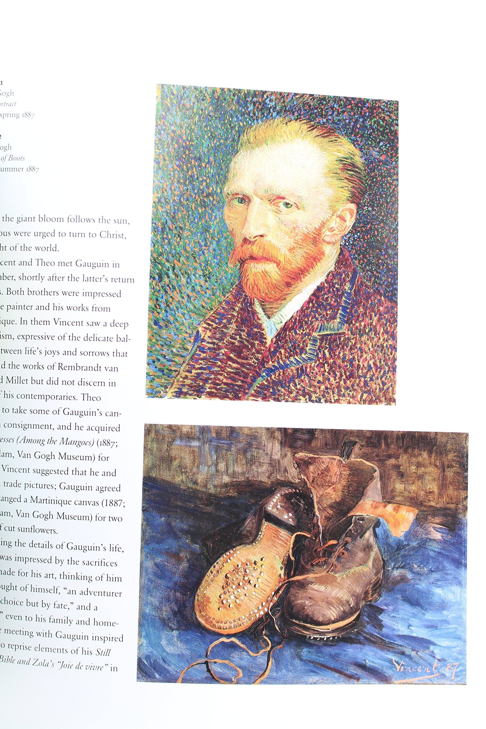 Van Gogh and Gauguin: The Studio of the South used book depot