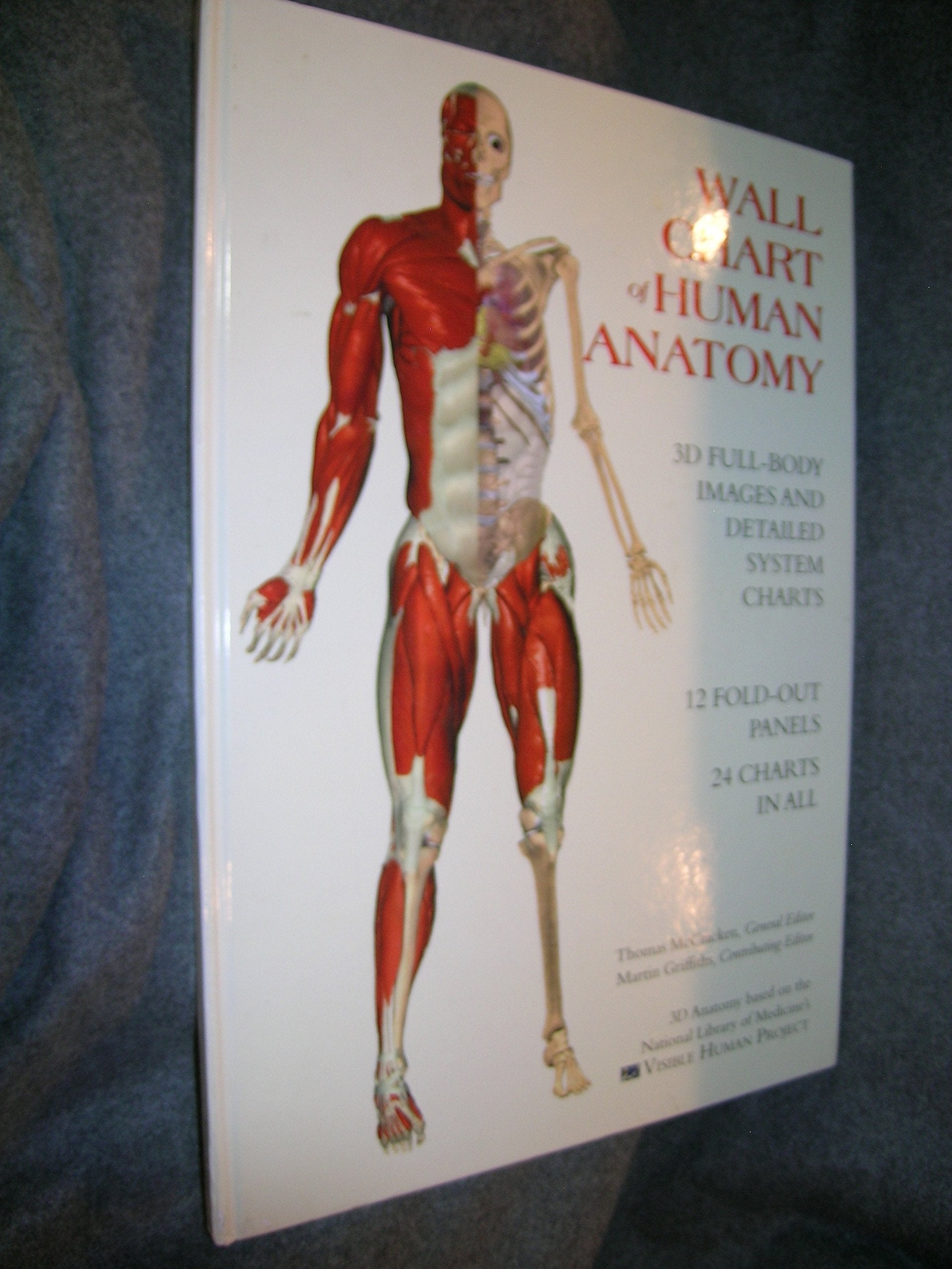 Wallchart of Human Anatomy: 3 D Full-Body Images, Detailed System Charts used book depot