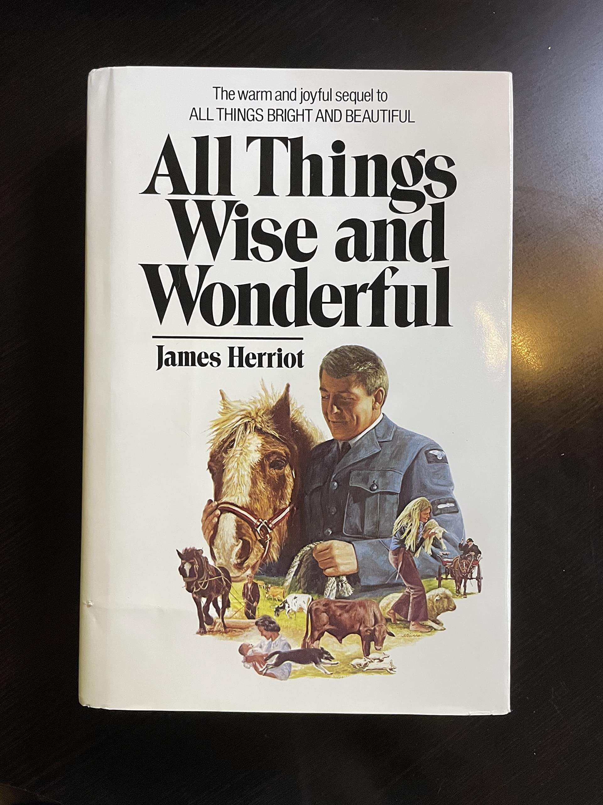 All Things Wise and Wonderful used book depot