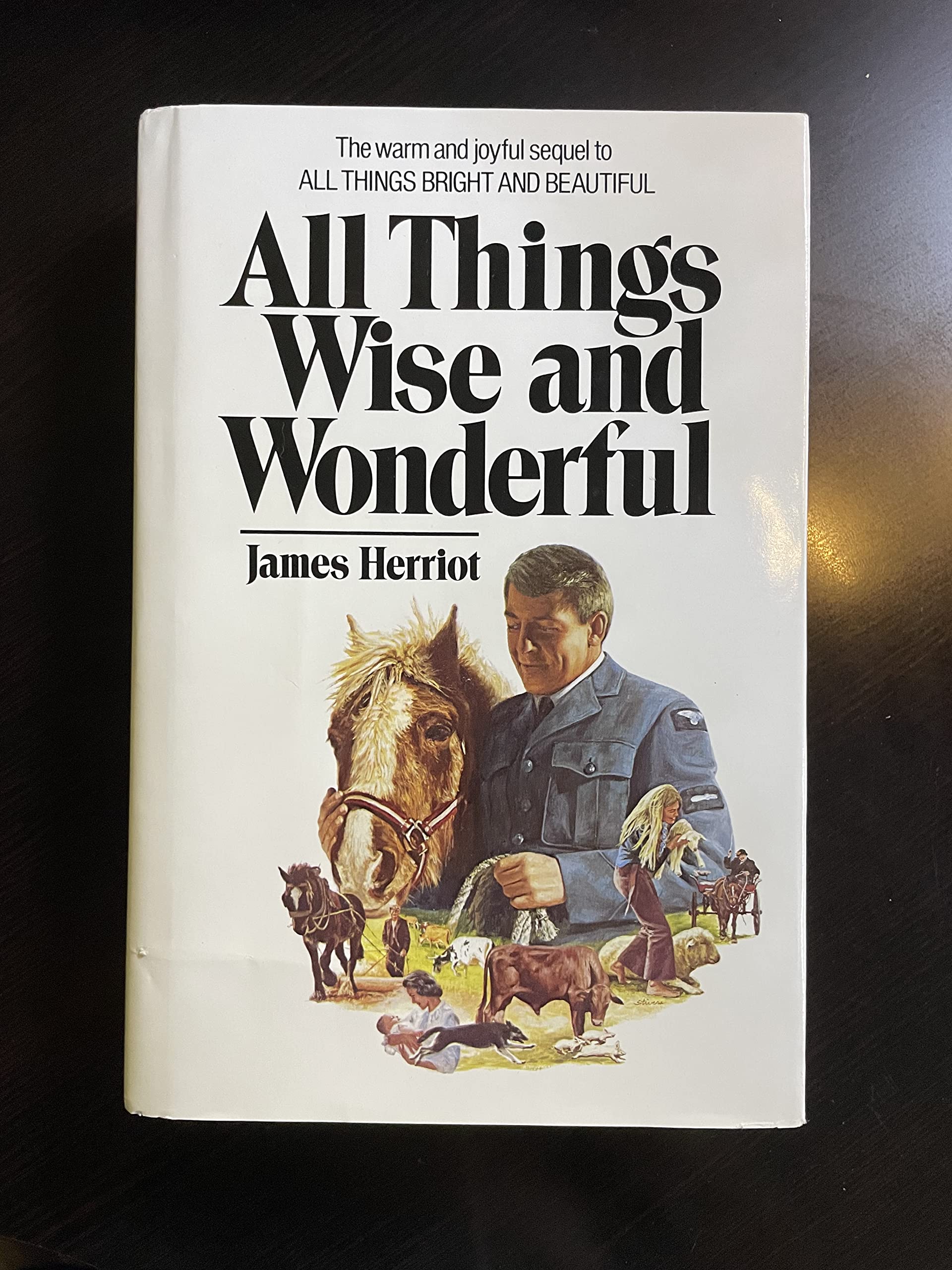 All Things Wise and Wonderful used book depot