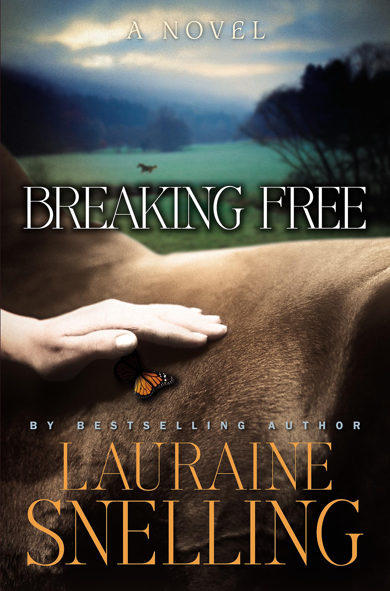 Breaking Free: A Novel used book depot