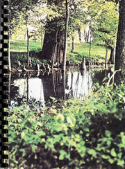 BAYOU CUISINE ITS TRADITION AND TRANSITION used book depot