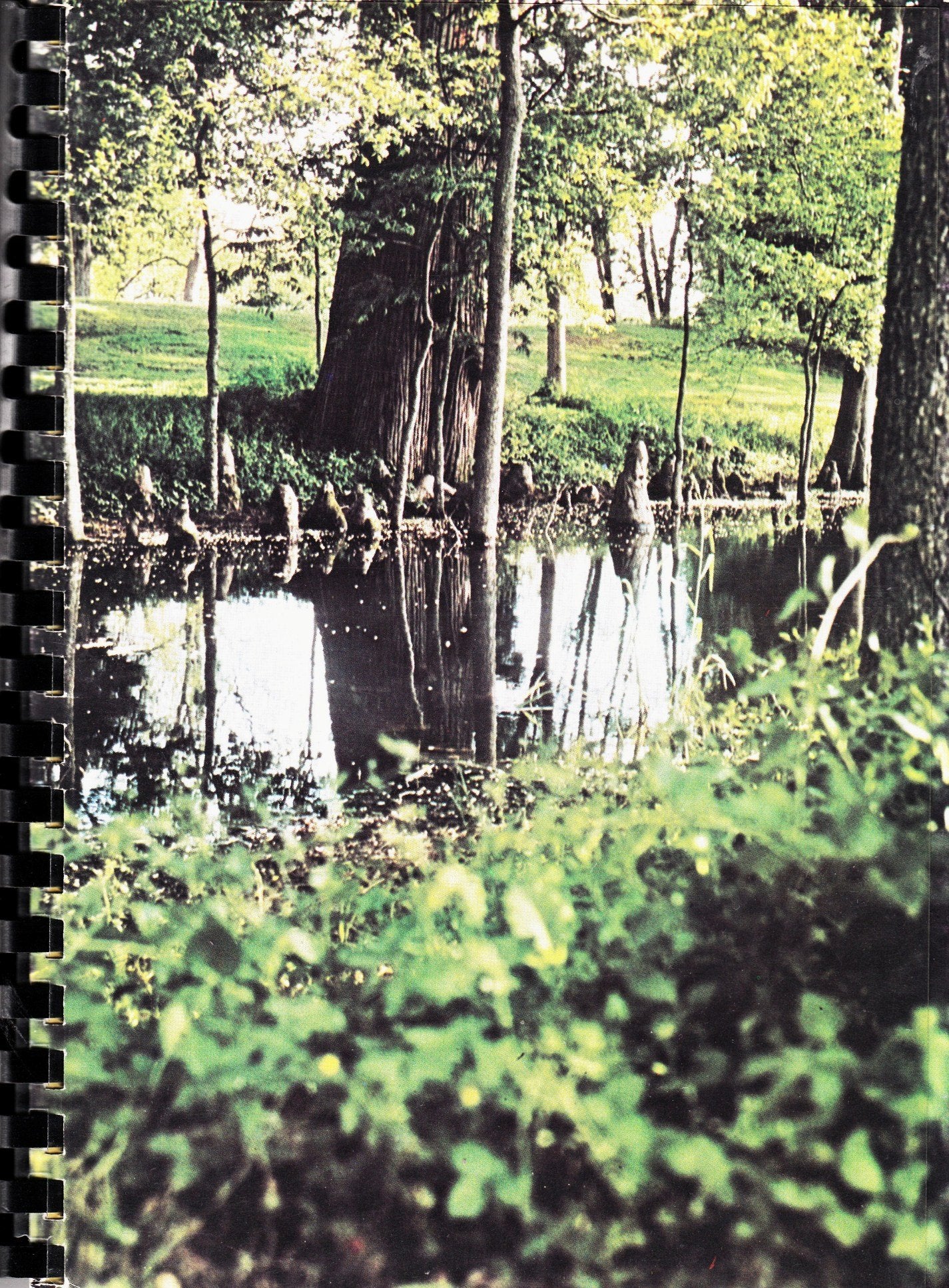 BAYOU CUISINE ITS TRADITION AND TRANSITION used book depot
