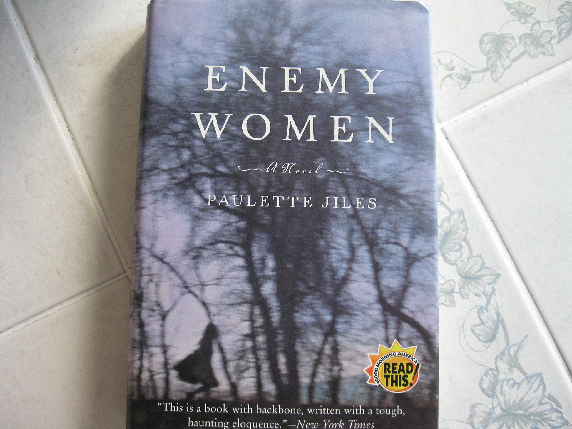 Enemy Women: A Novel used book depot