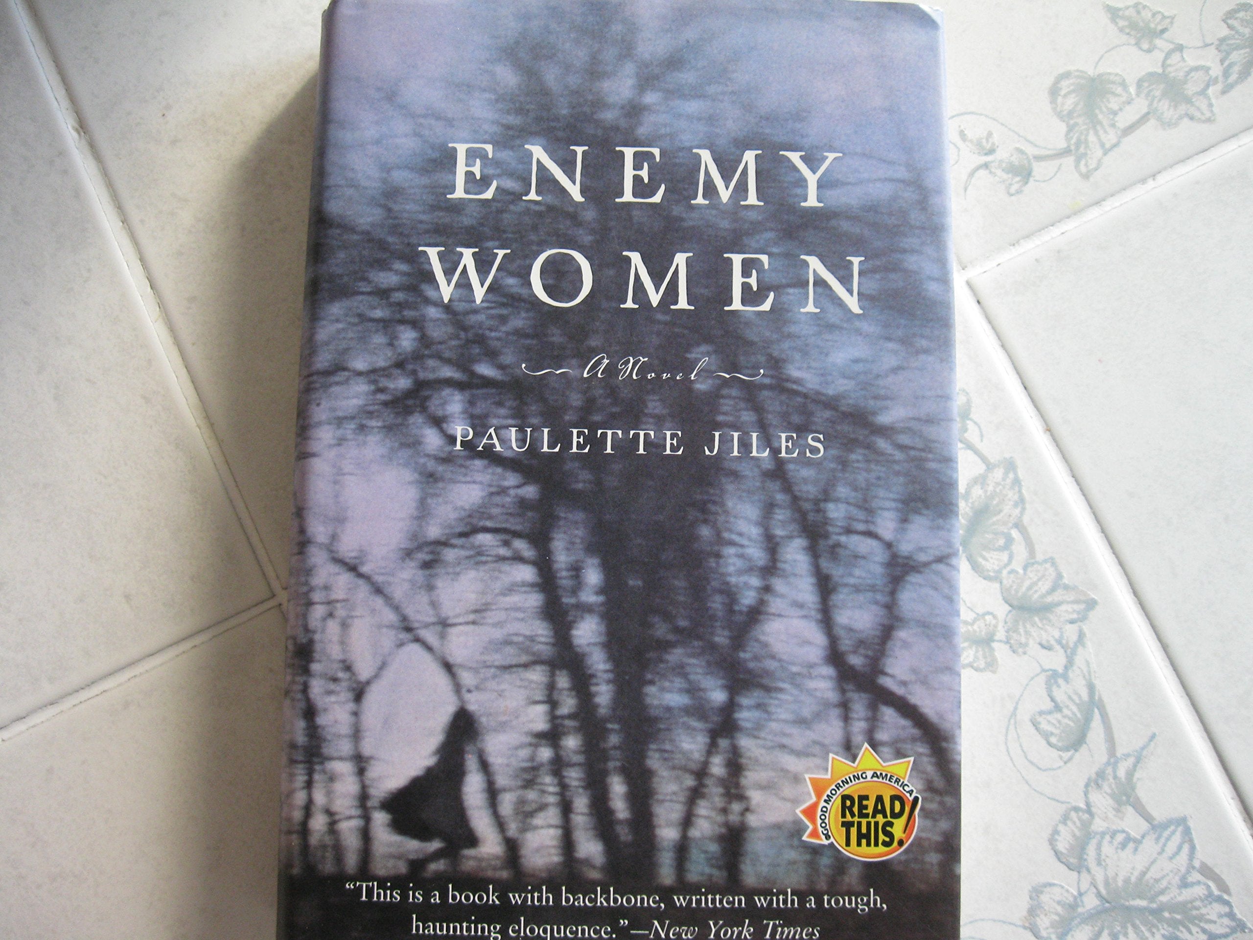 Enemy Women: A Novel used book depot