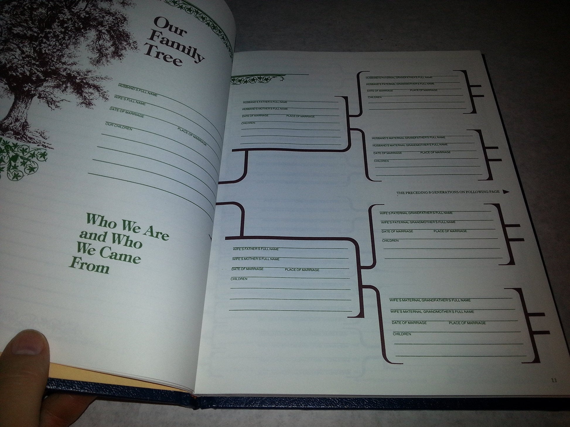 Our Family Tree used book depot