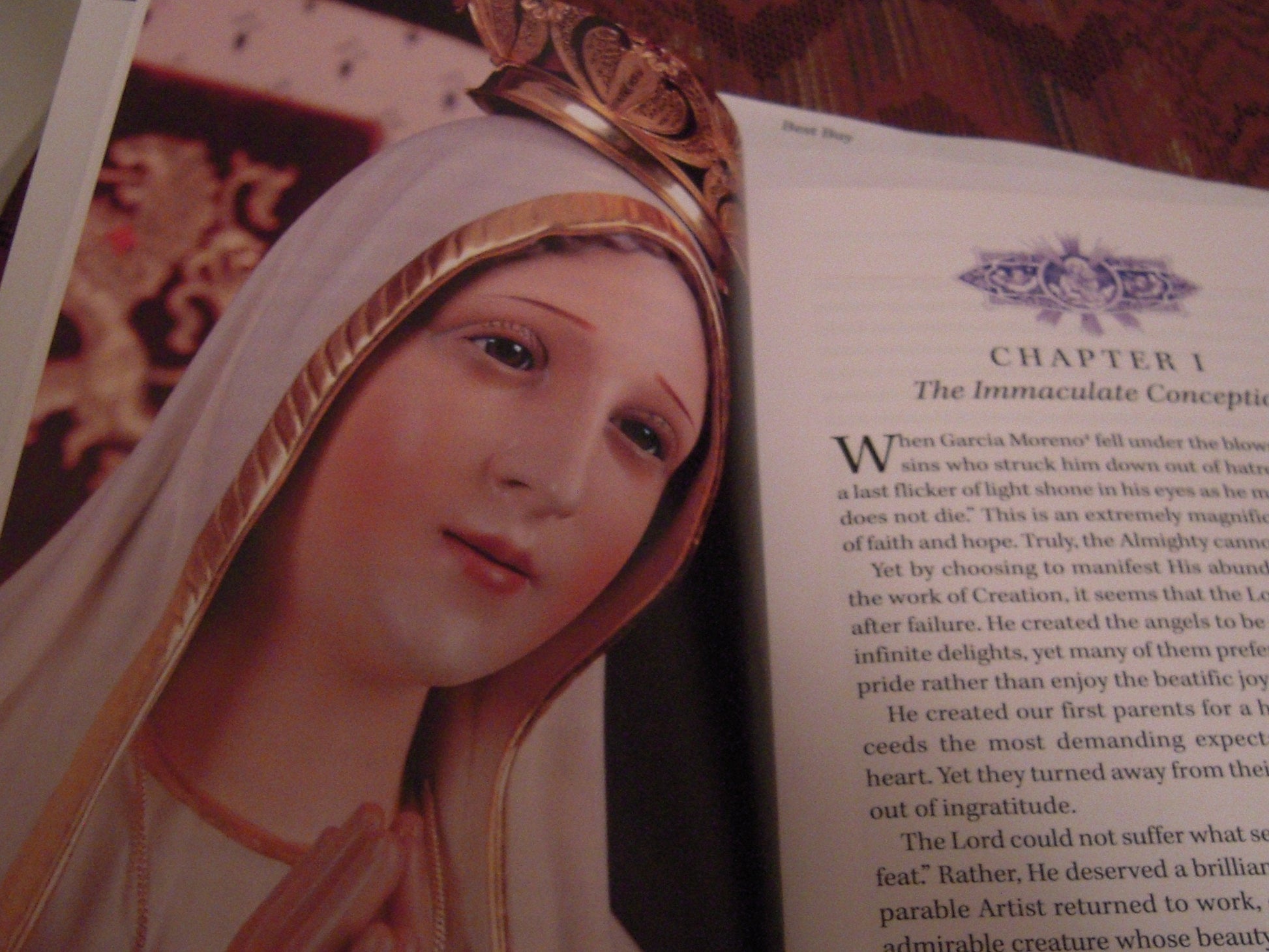 The Virgin Mary by Father Raymond De Thomas De Saint Laurent used book depot