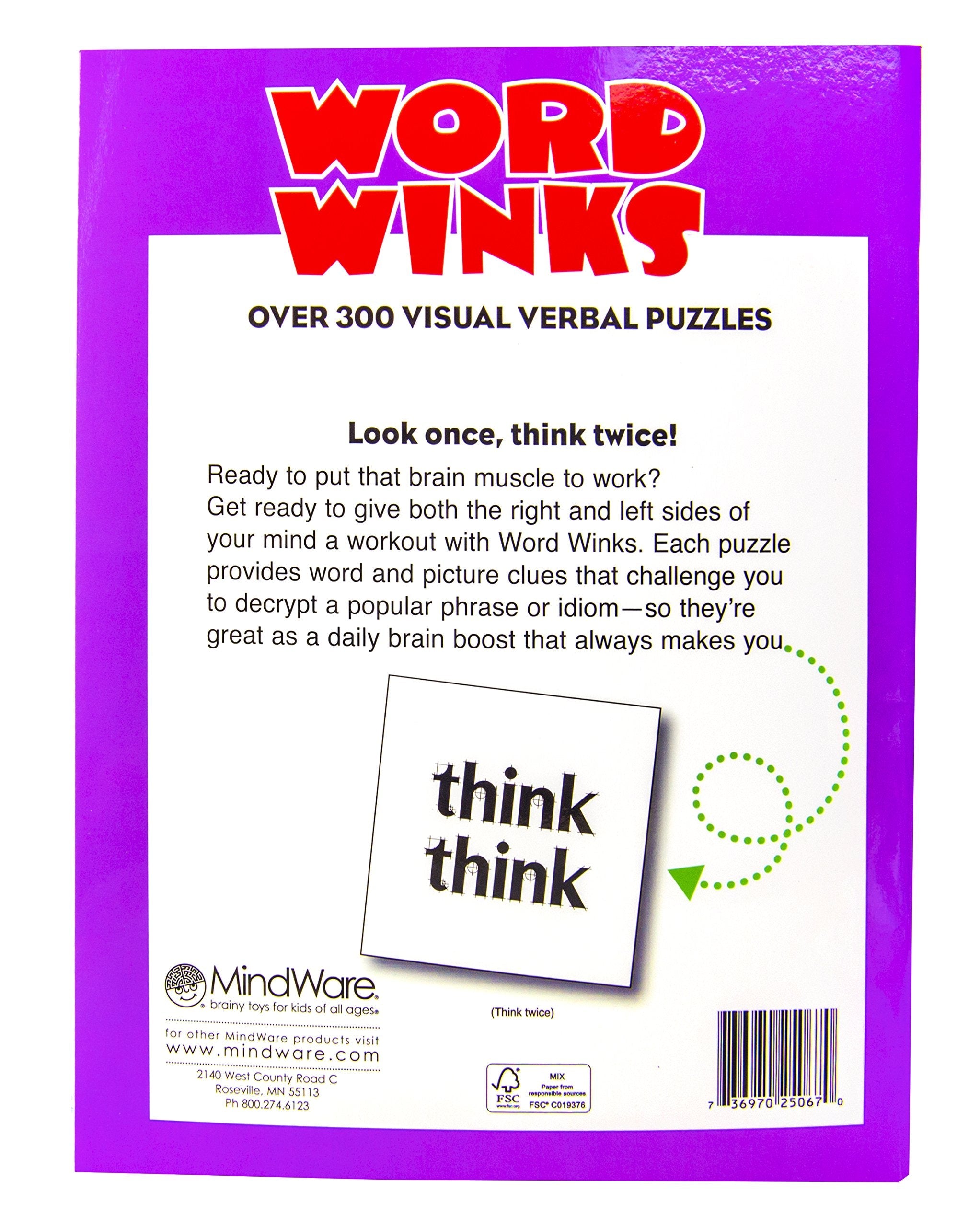MindWare Word Winks used book depot