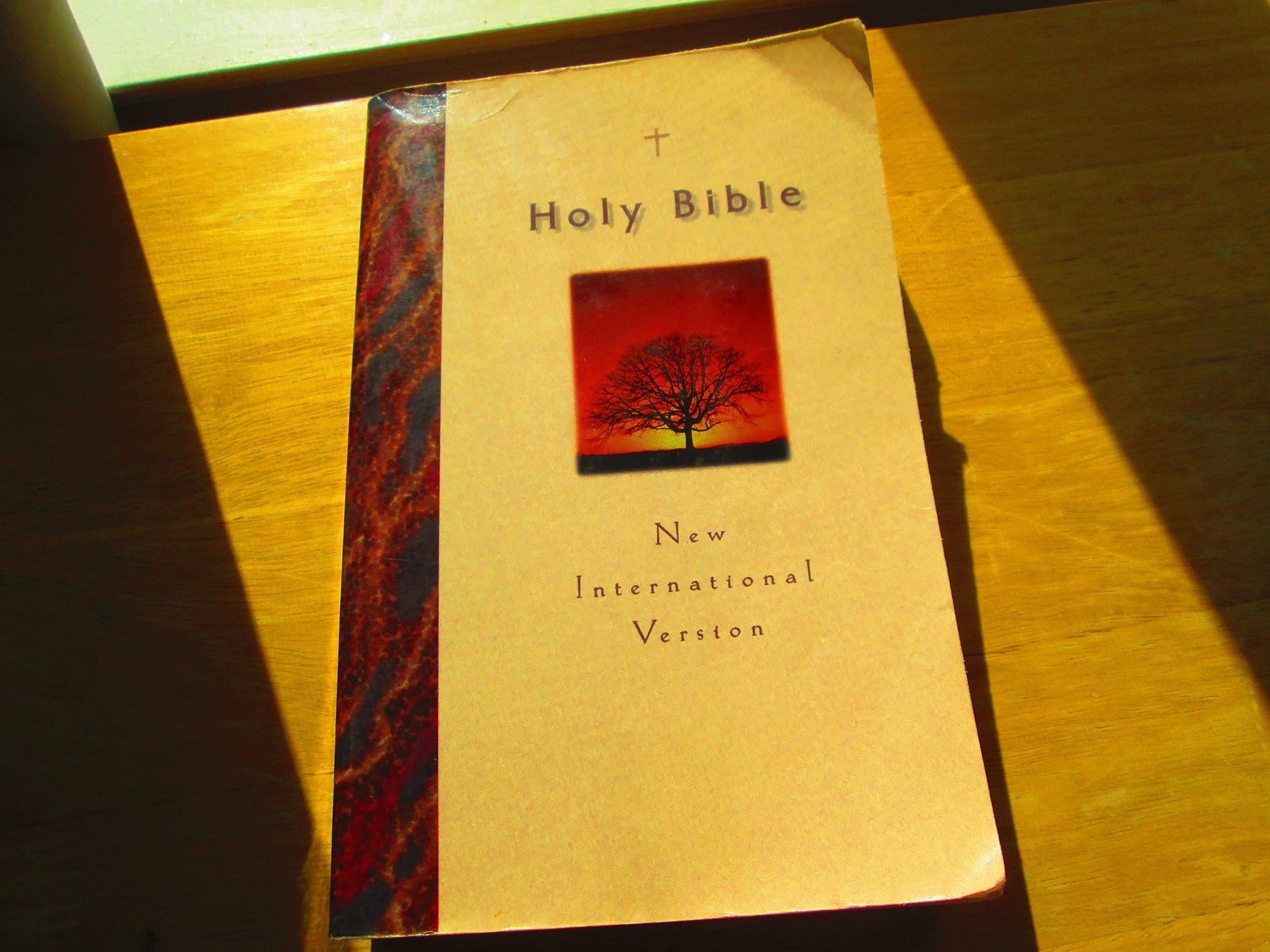 Holy Bible-NIV used book depot