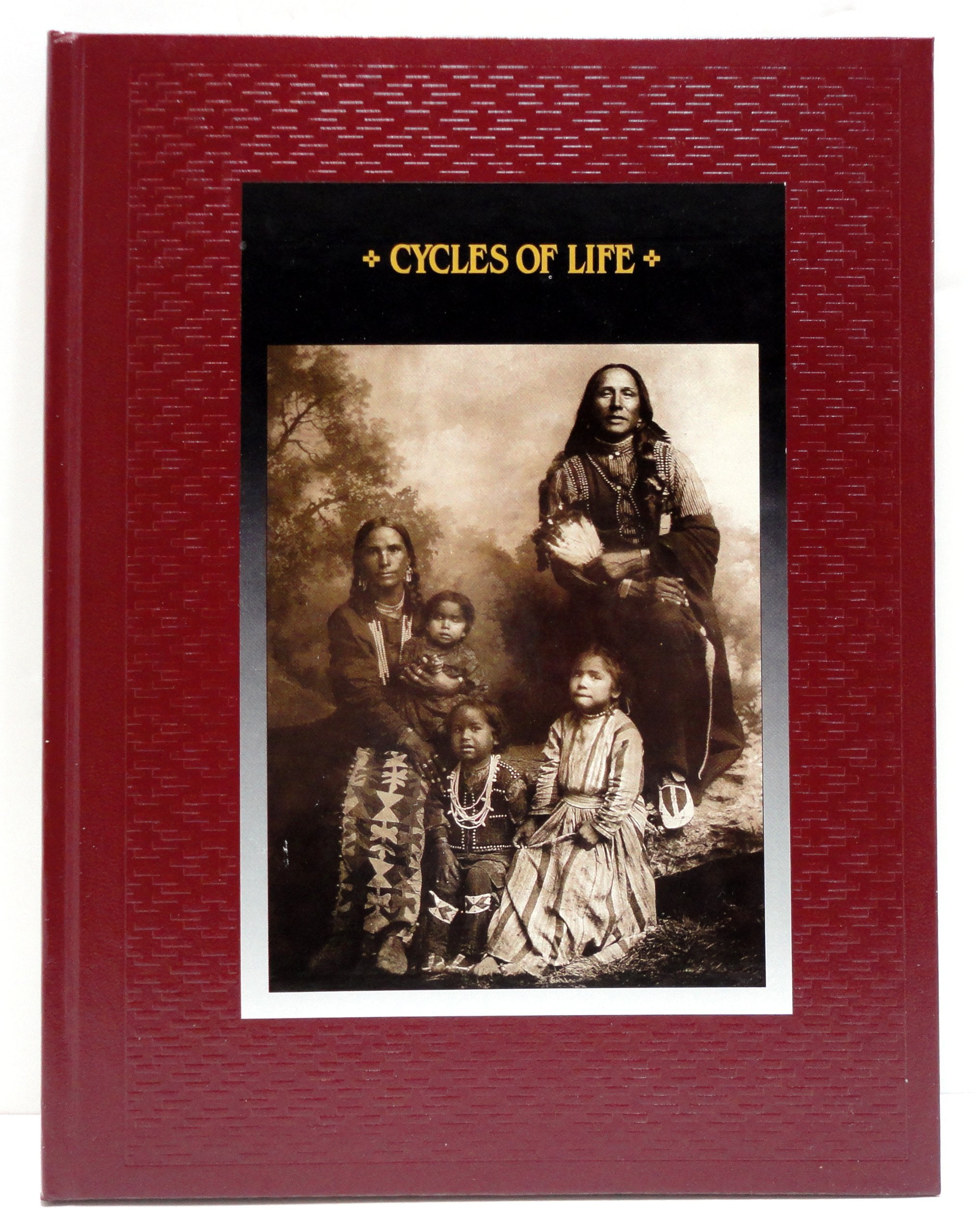 Cycles of Life (American Indians) used book depot