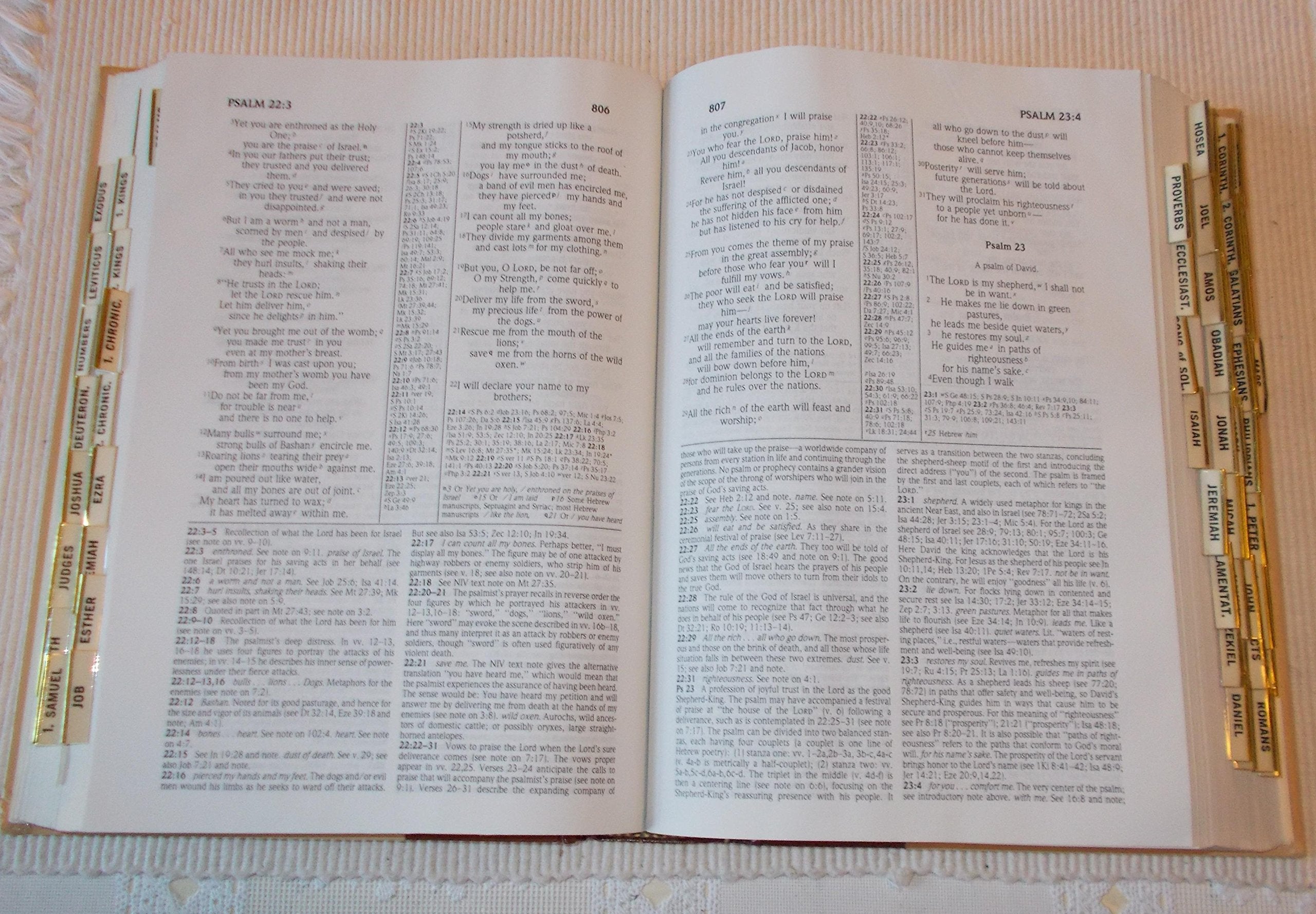 The NIV Study Bible: New International Version