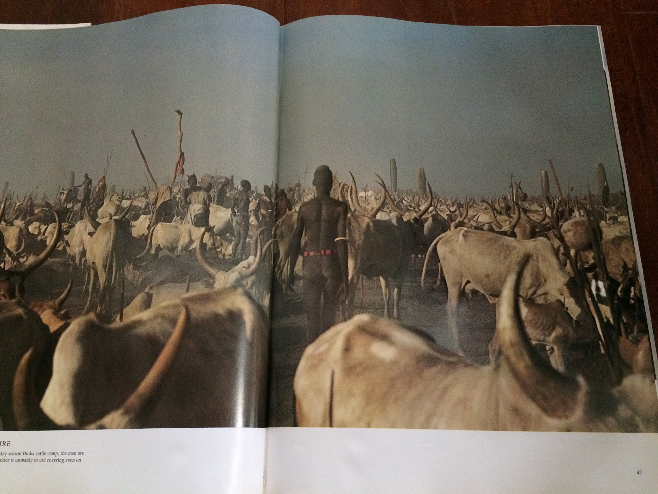 Africa Adorned used book depot