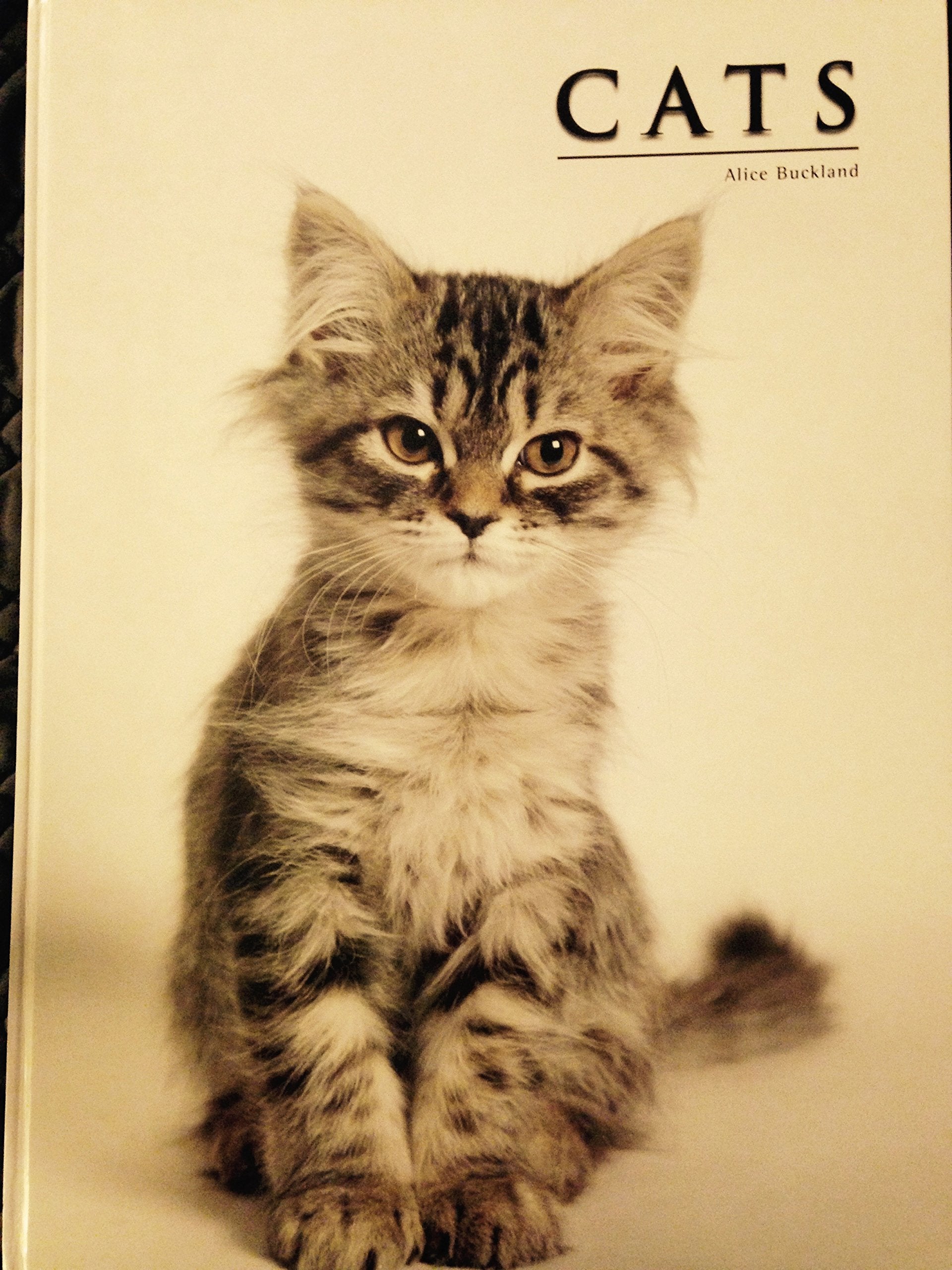 CATS