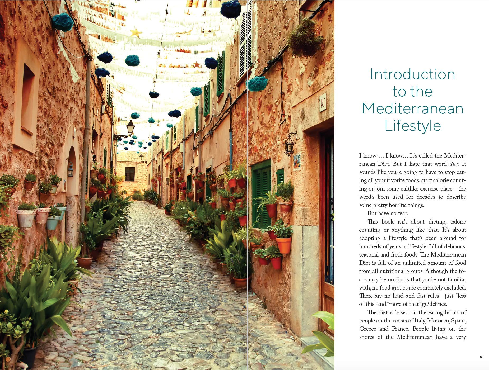 The Mediterranean Refresh - Over 100 Time Tested Delicious and Healthy Recipes For Living Your Best Life! used book depot