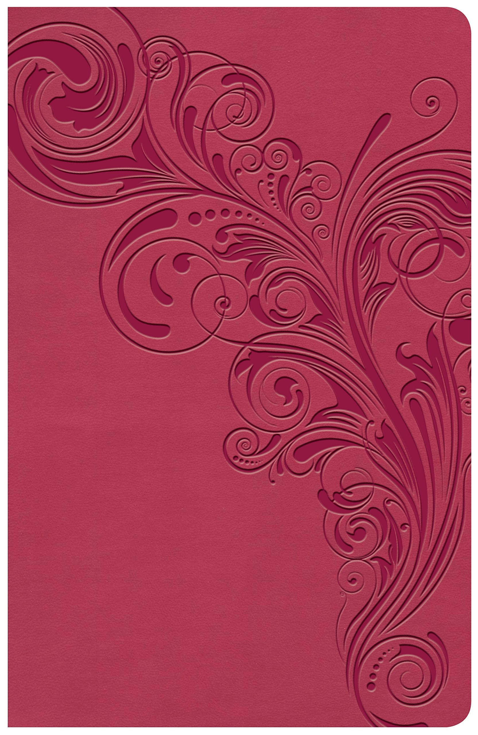 KJV Large Print Personal Size Reference Bible, Pink Leathertouch Indexed, Red Letter, Pure Cambridge Text, Presentation Page, Cross-References, Full-Color Maps, Easy-to-Read Bible MCM Type