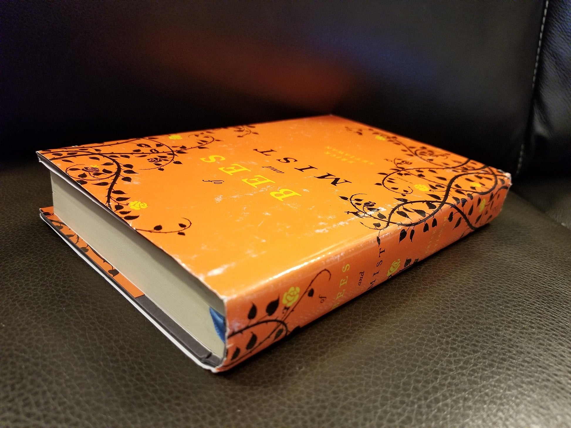 Of Bees and Mist: A Novel used book depot