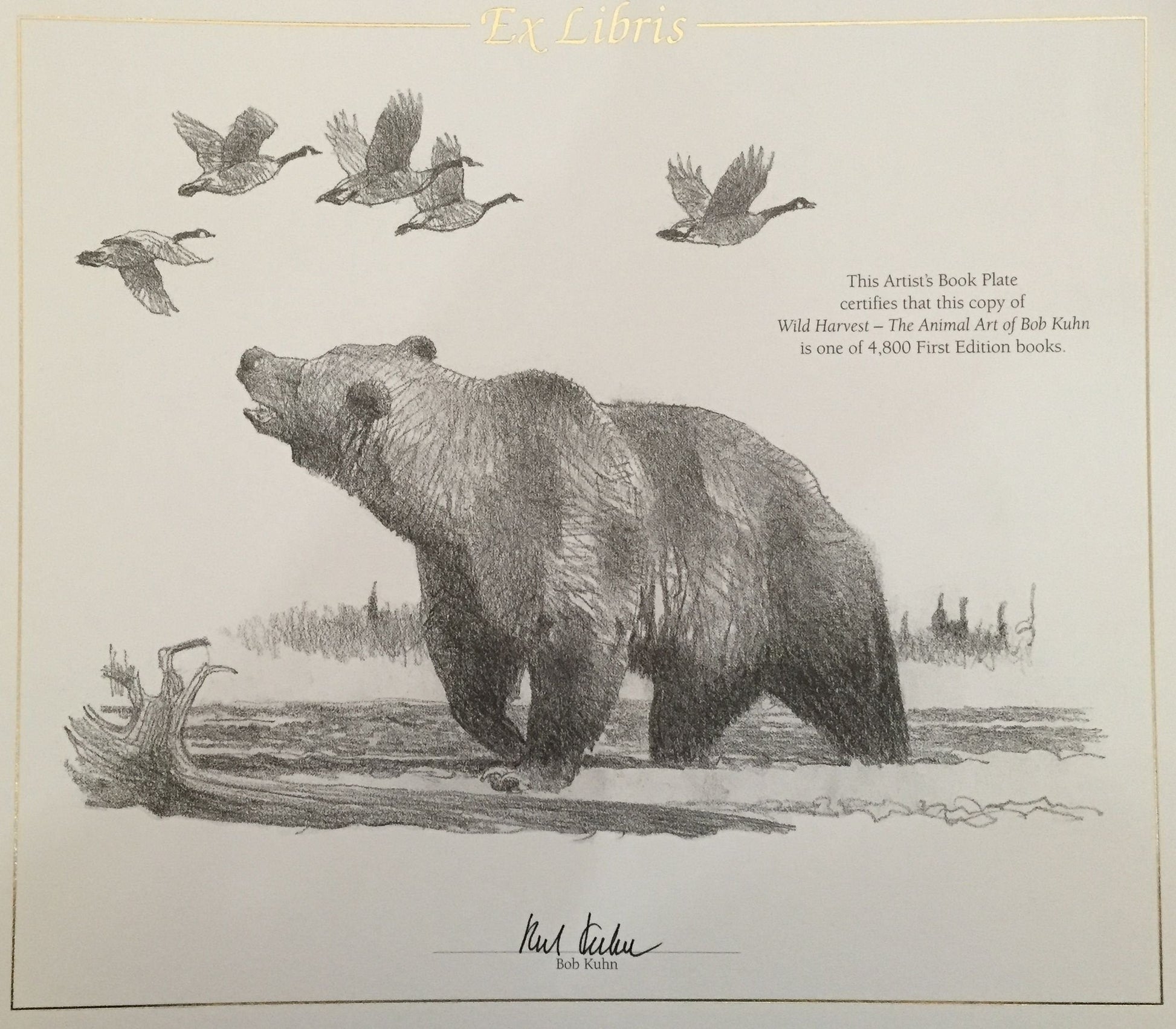 Wild Harvest: The Animal Art of Bob Kuhn used book depot