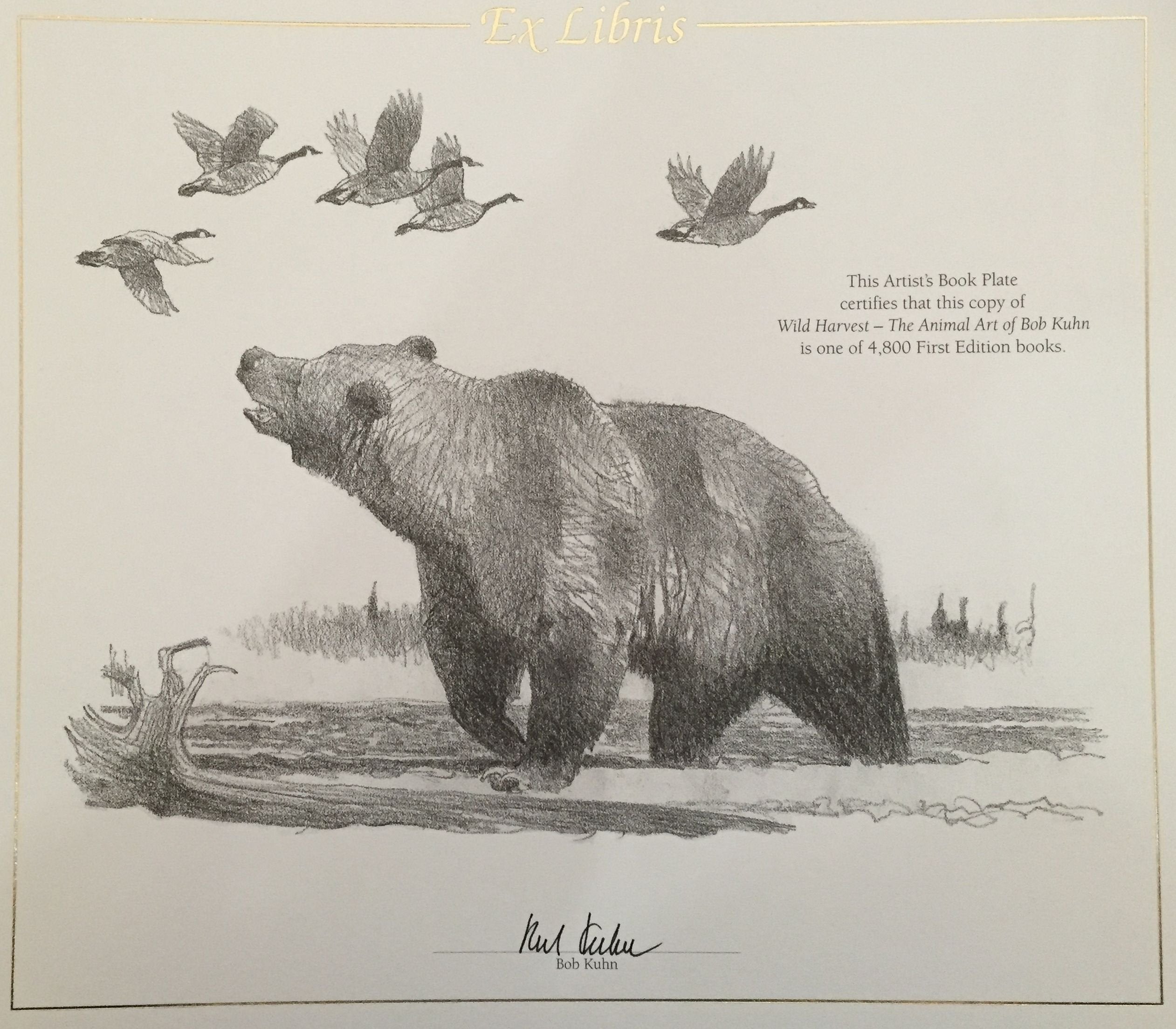 Wild Harvest: The Animal Art of Bob Kuhn used book depot