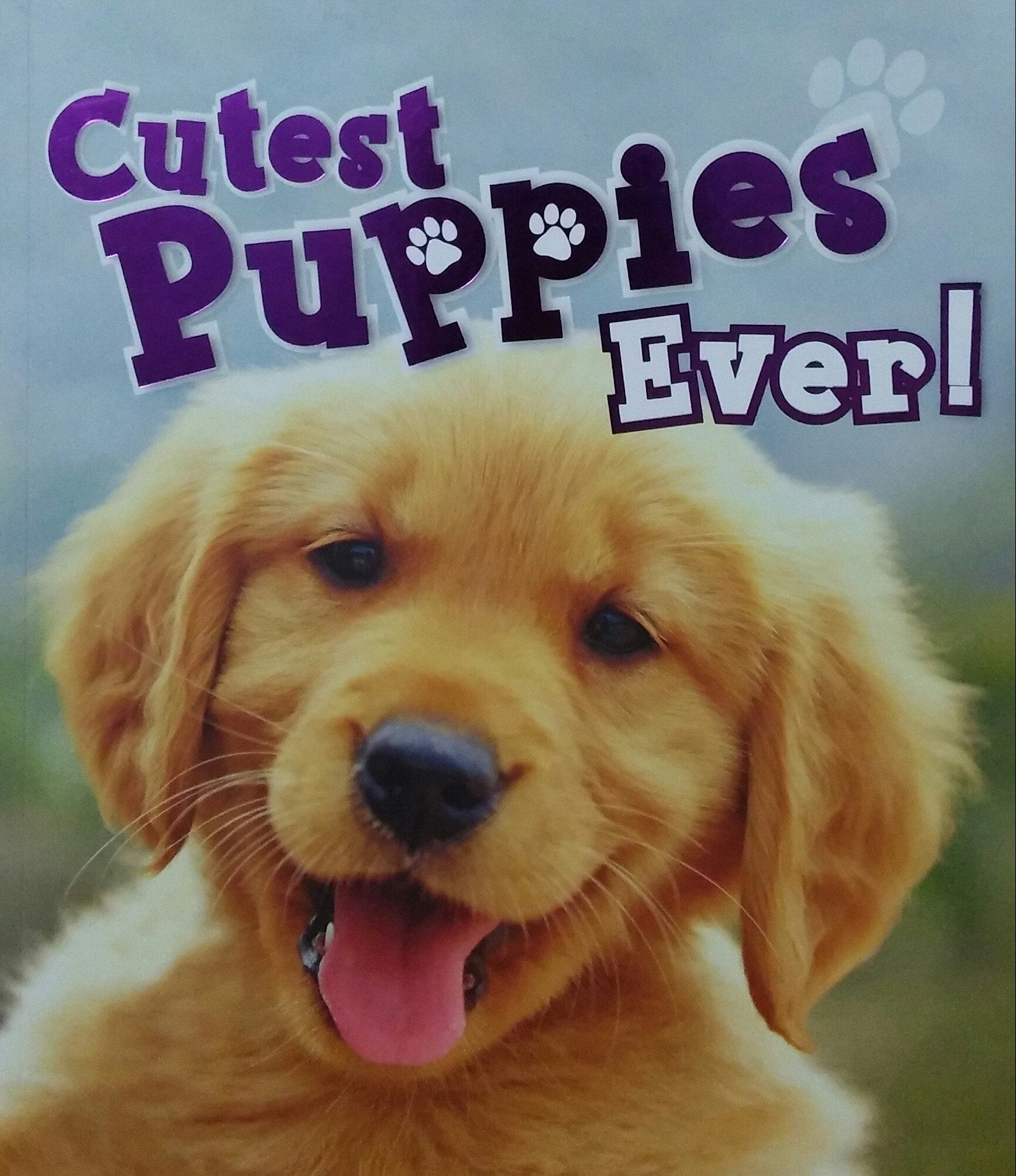 Cutest Puppies Ever! used book depot