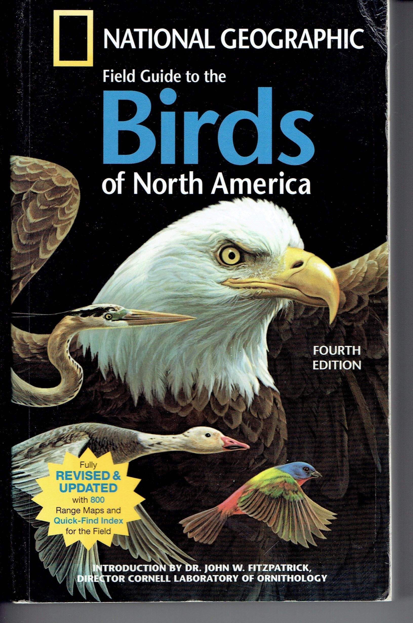 National Geographic Field Guide To The Birds Of North America, 4th Edition used book depot