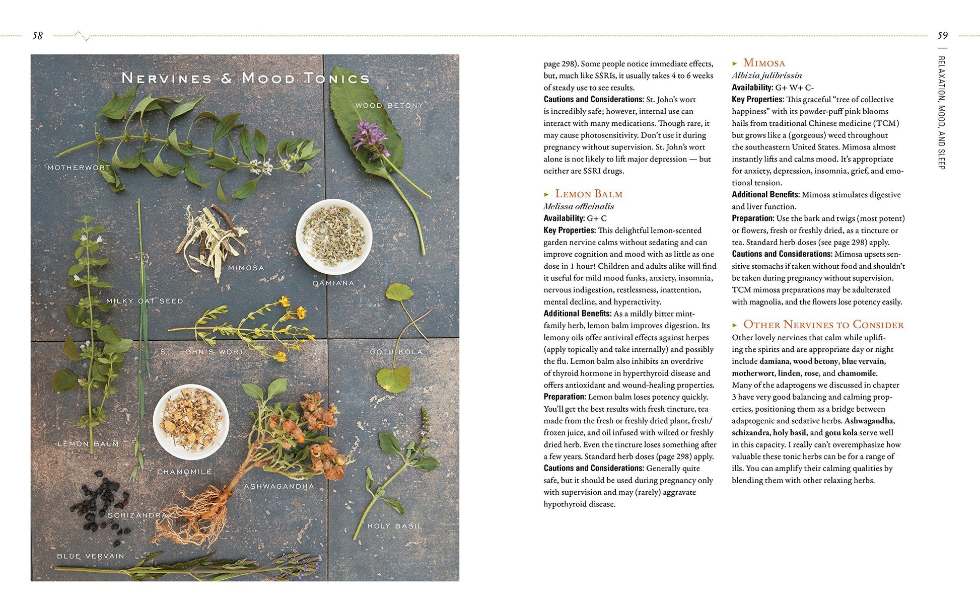Body into Balance: An Herbal Guide to Holistic Self-Care used book depot