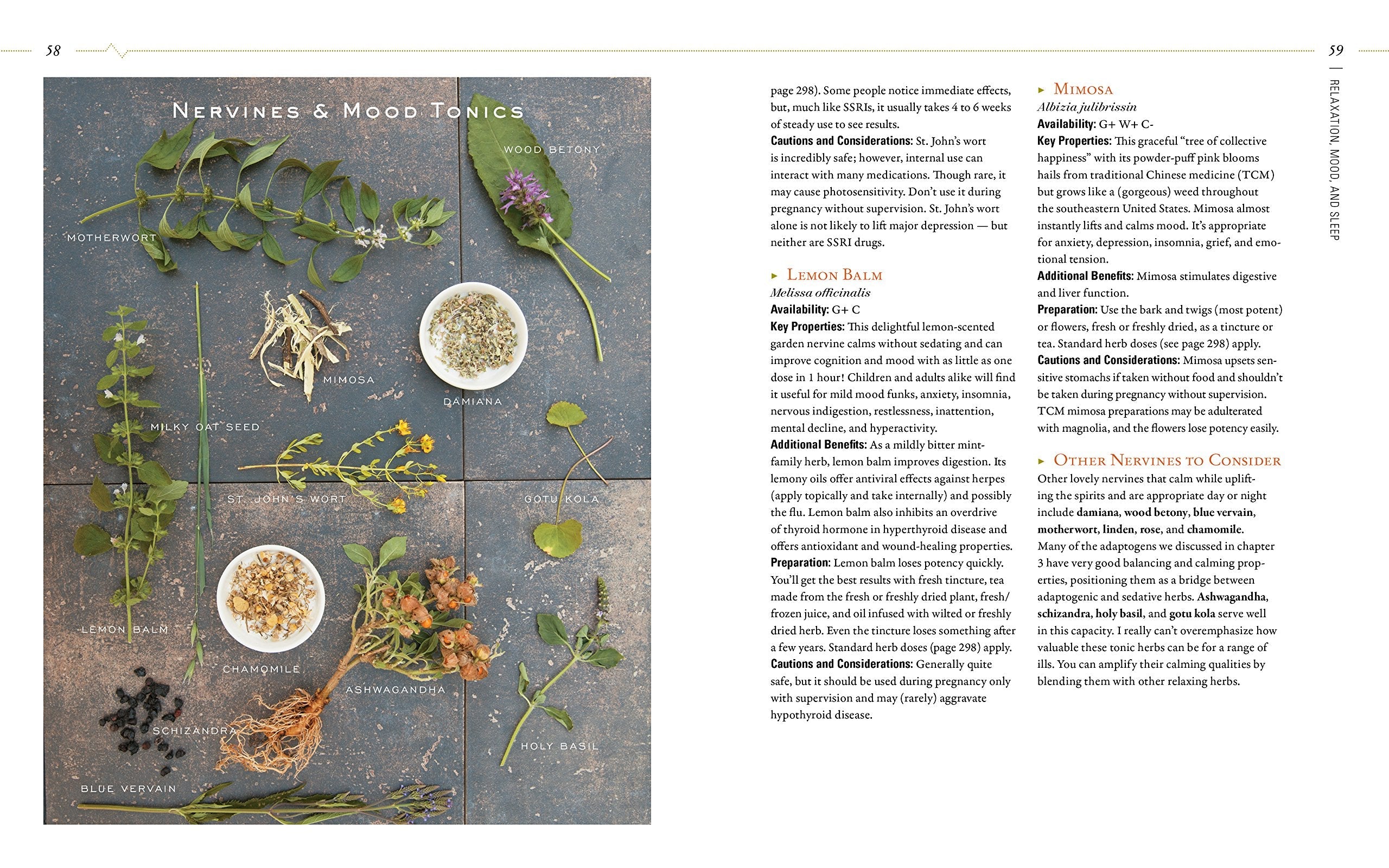 Body into Balance: An Herbal Guide to Holistic Self-Care used book depot