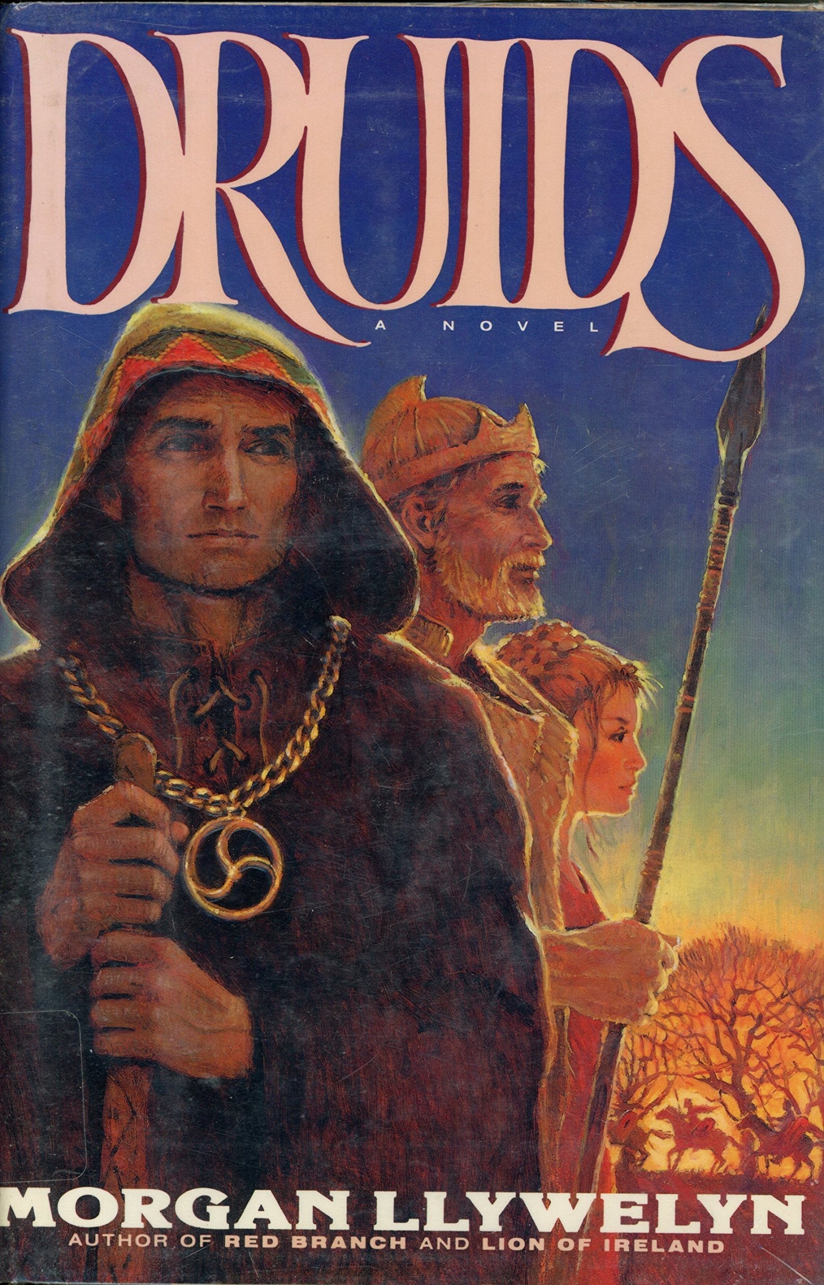 Druids used book depot