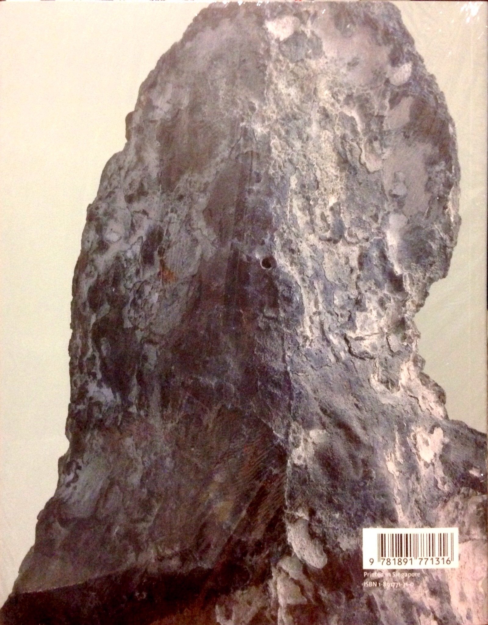 Medardo Rosso: Second Impressions used book depot