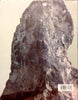 PT01