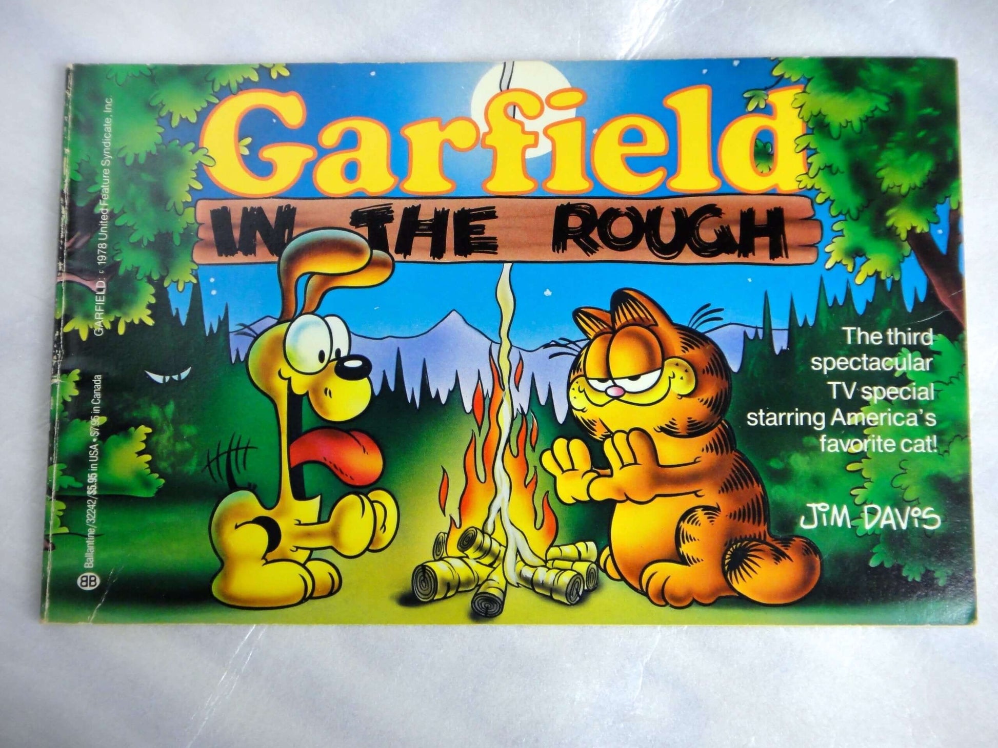 Garfield in the Rough used book depot