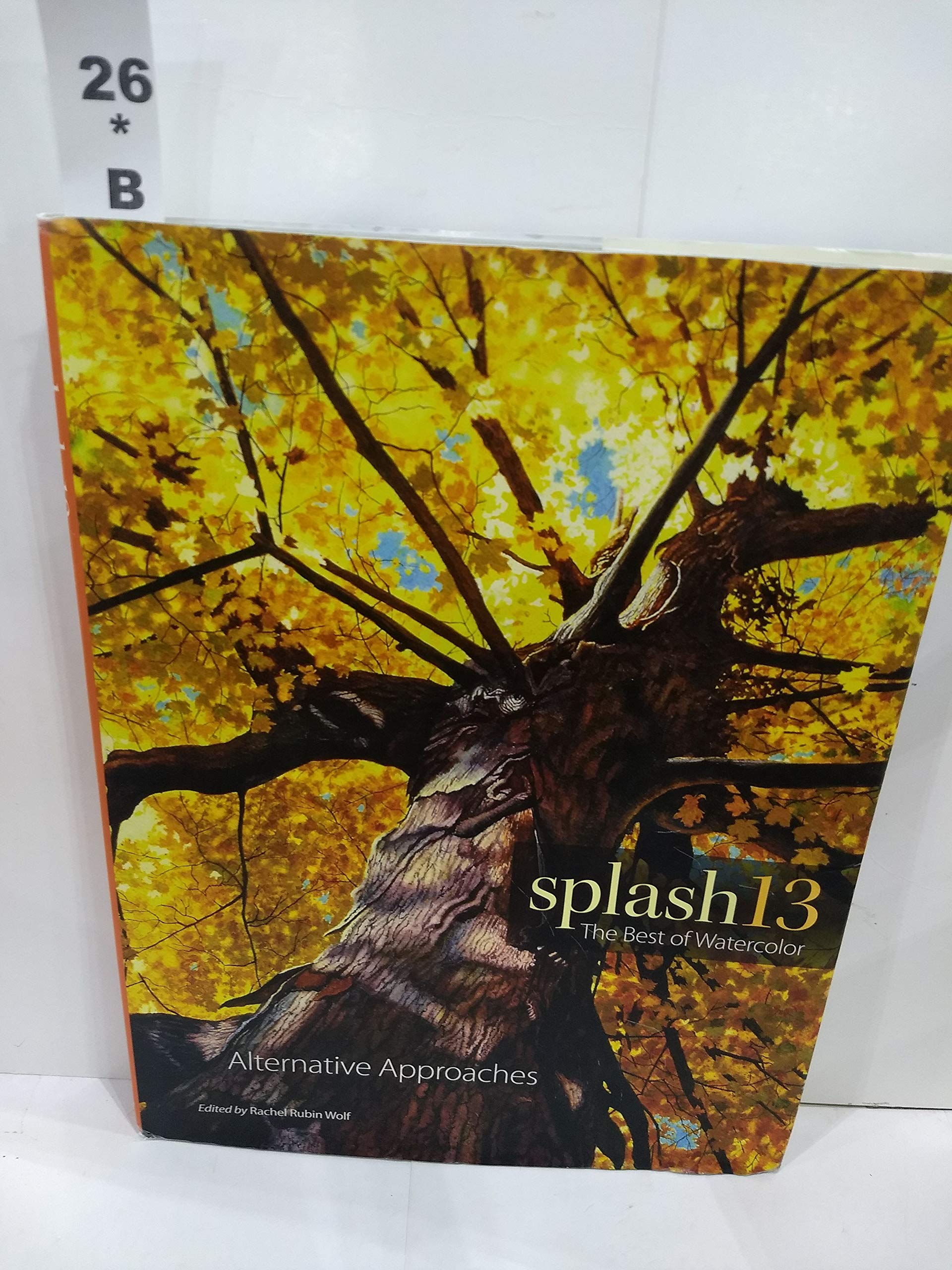 Splash 13: The Best of Watercolor: Alternative Approaches used book depot