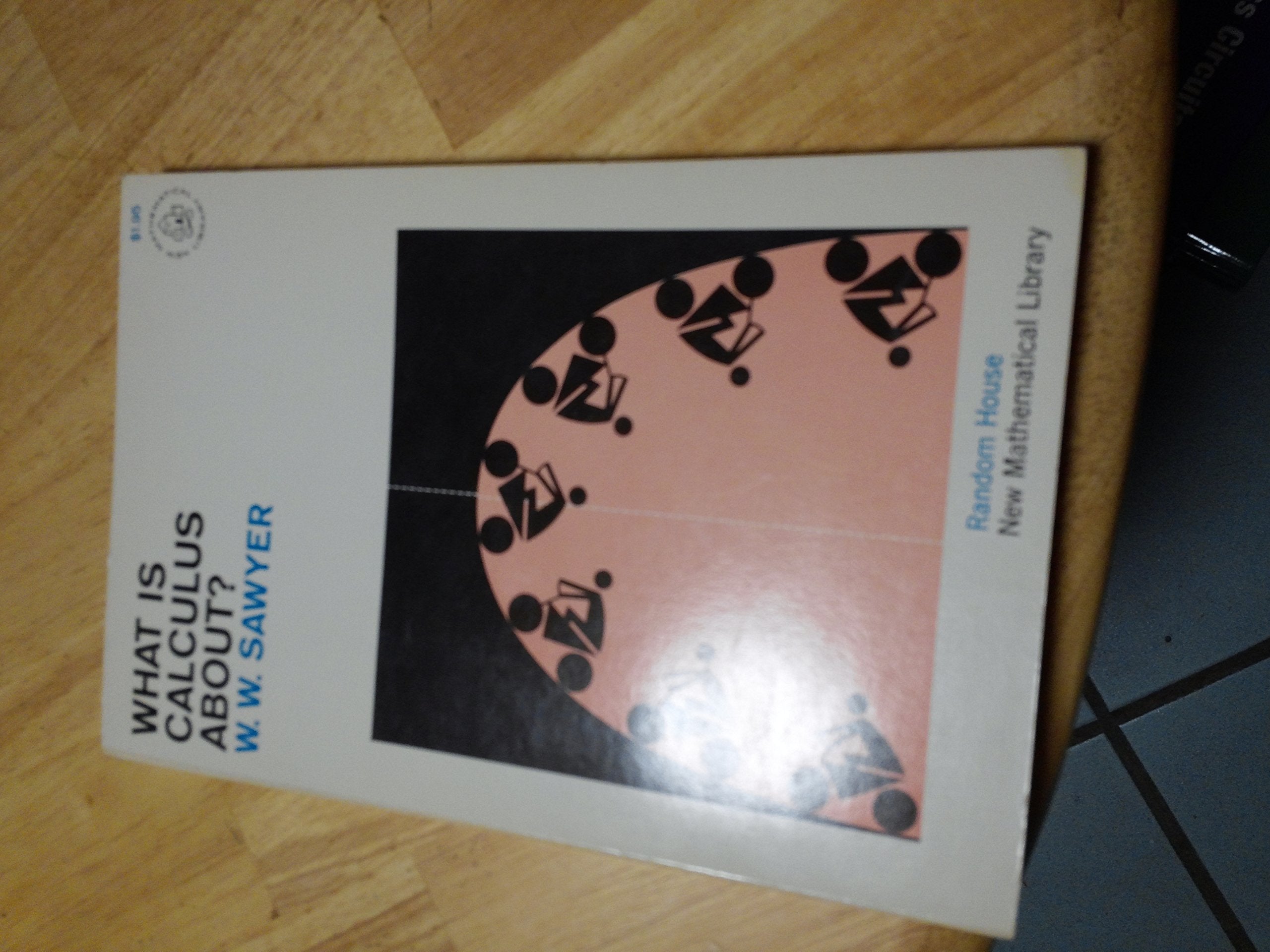 What Is Calculus About? used book depot