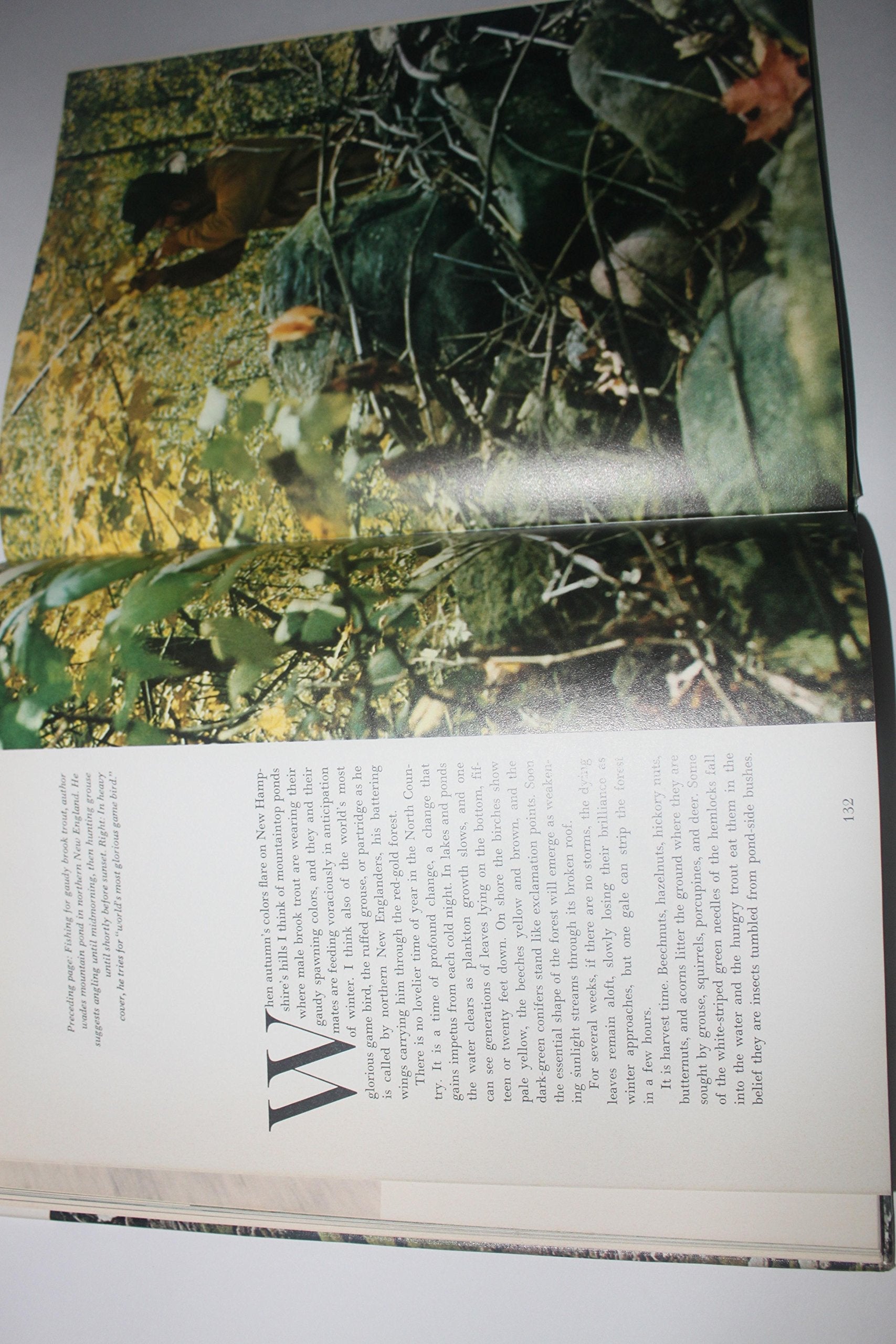 Sportsmans Wilderness used book depot
