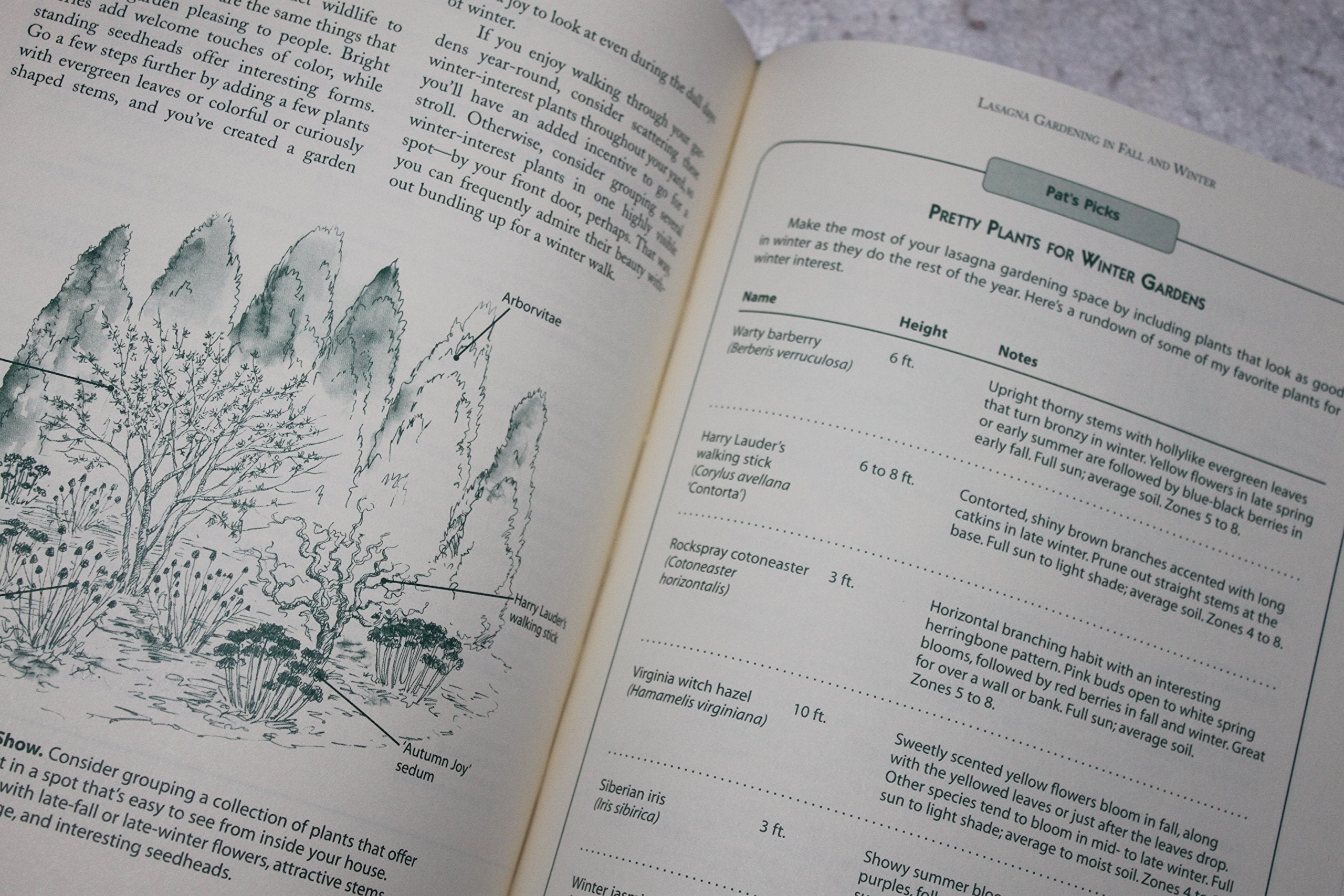 Lasagna Gardening: A New Layering System for Bountiful Gardens: No Digging, No Tilling, No Weeding, No Kidding!