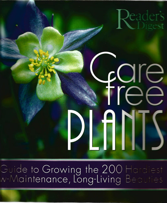 Care-Free Plants