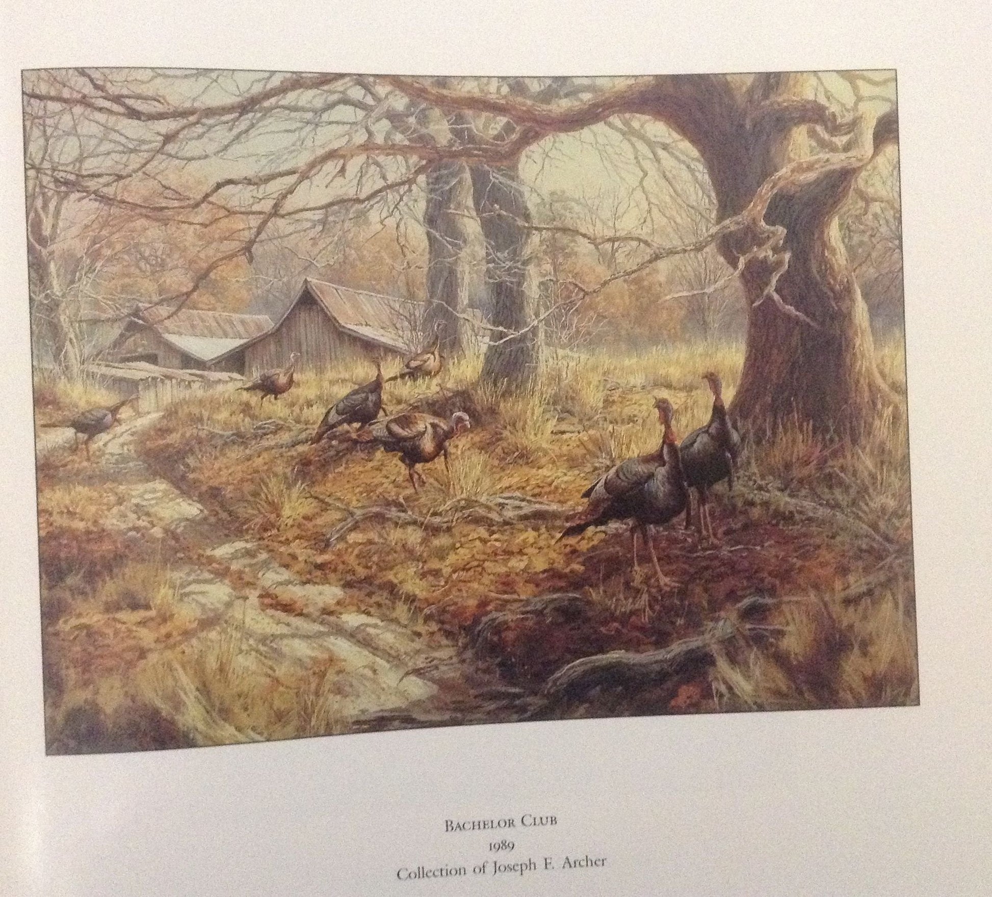 IN THE SPORTING TRADITION: The Art of Herb Booth (Volume 8) (Joe and Betty Moore Texas Art Series) used book depot
