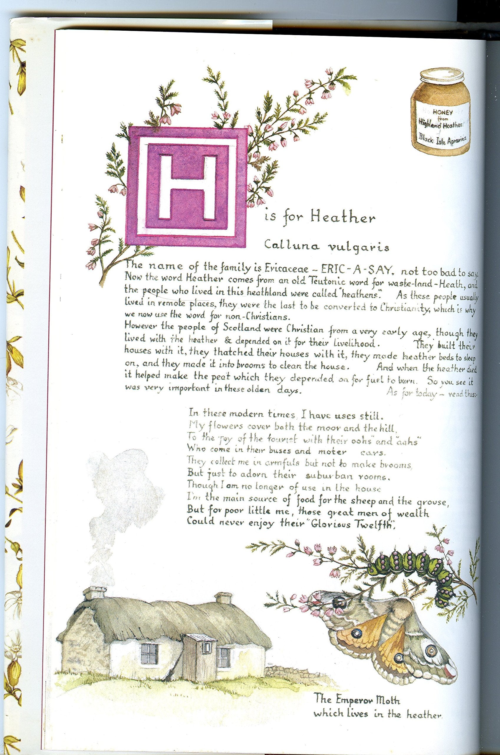 A Wildflower Alphabet