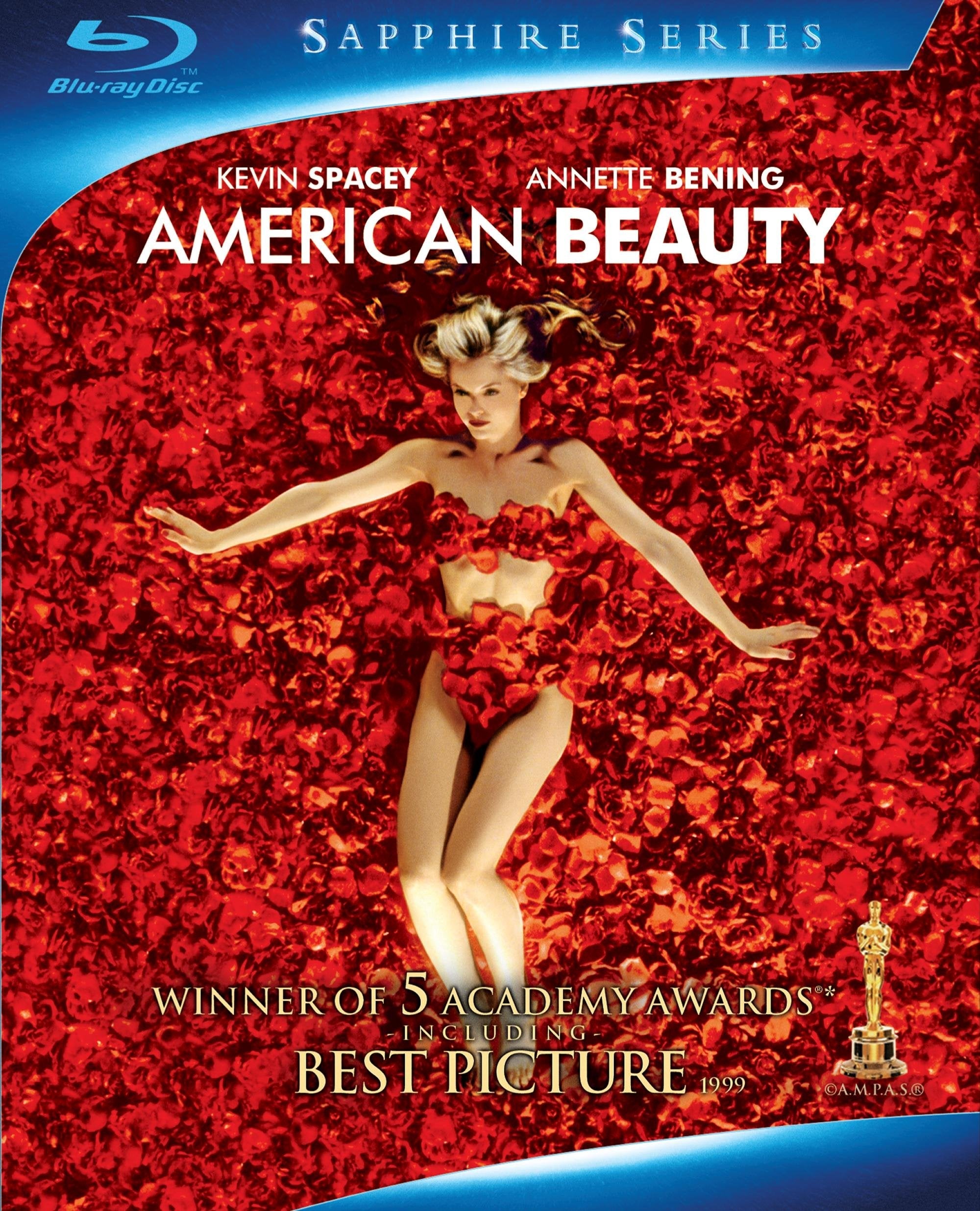 American Beauty [Blu-ray] used book depot