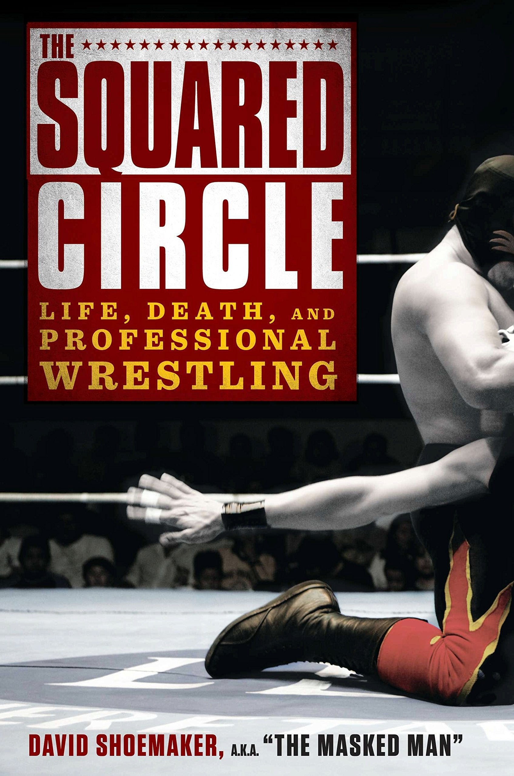 The Squared Circle: Life, Death, and Professional Wrestling used book depot