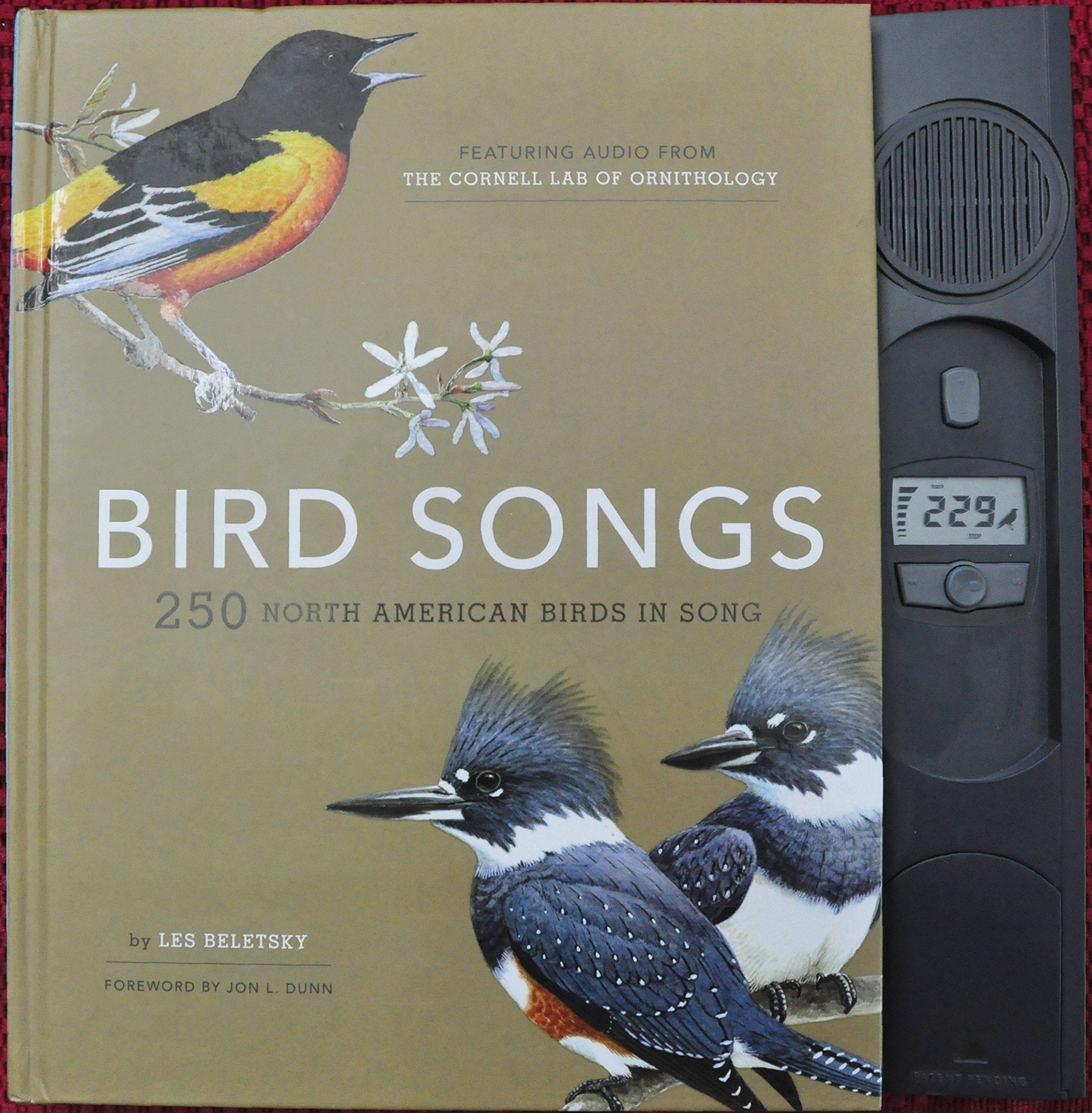 Bird Songs: 250 North American Birds in Song used book depot