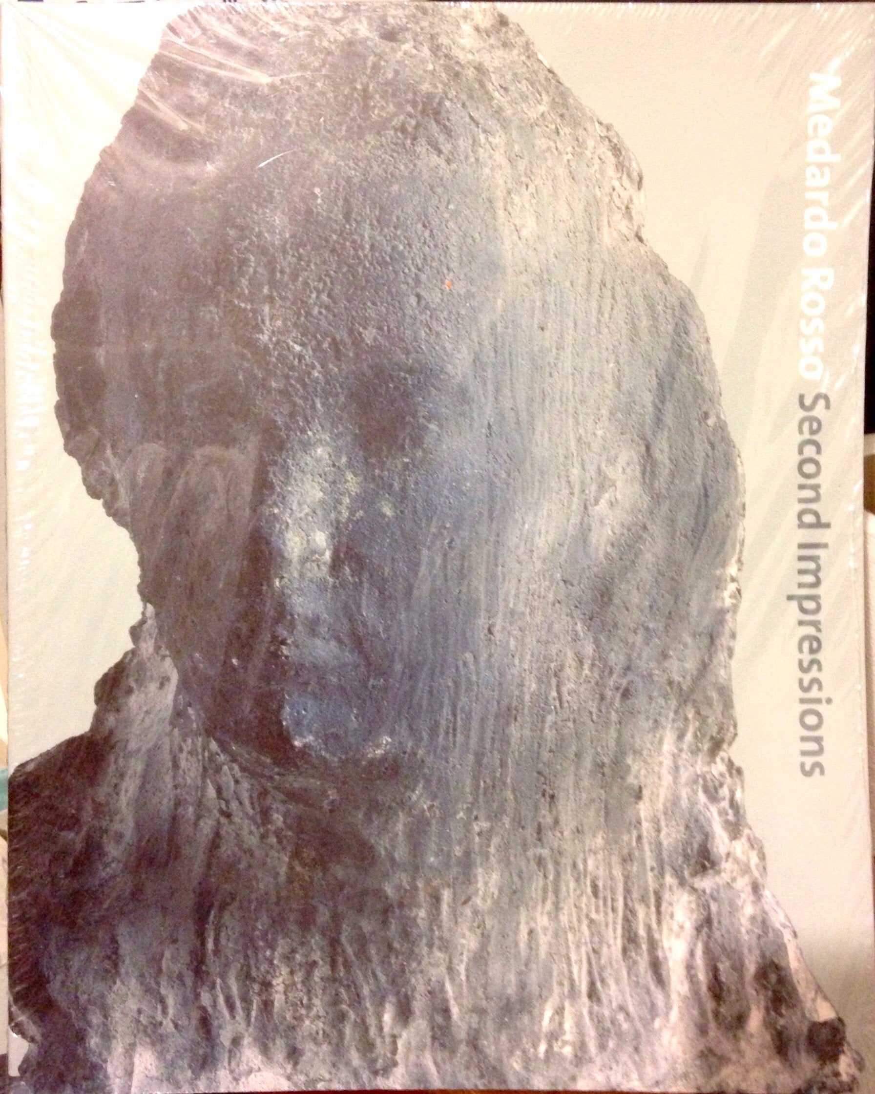 Medardo Rosso: Second Impressions used book depot