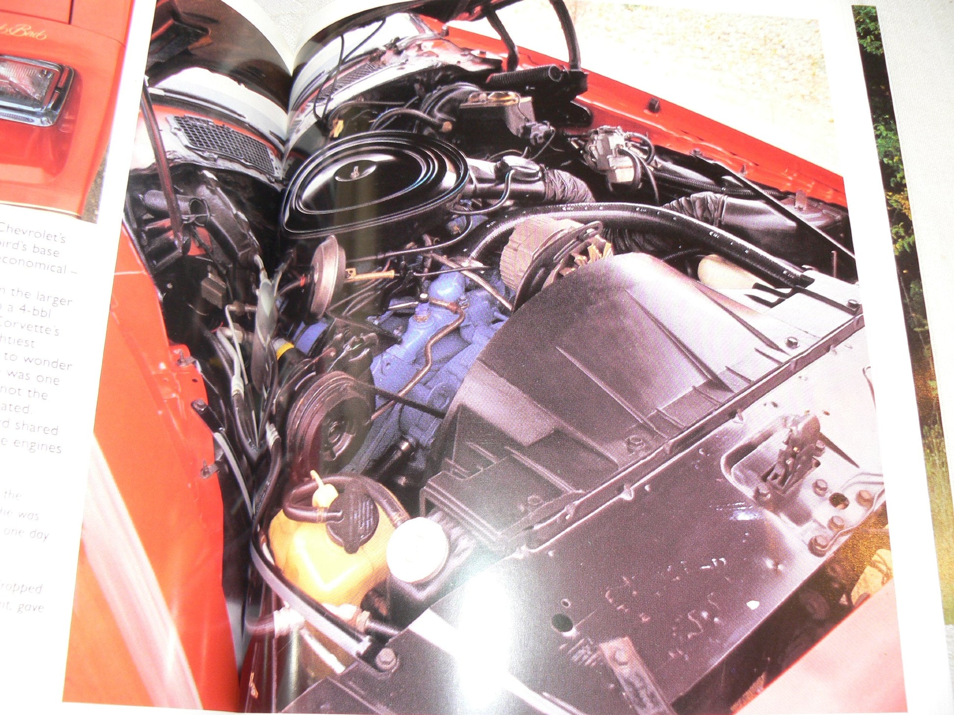 Pontiac Firebird (Osprey Color Marques) used book depot