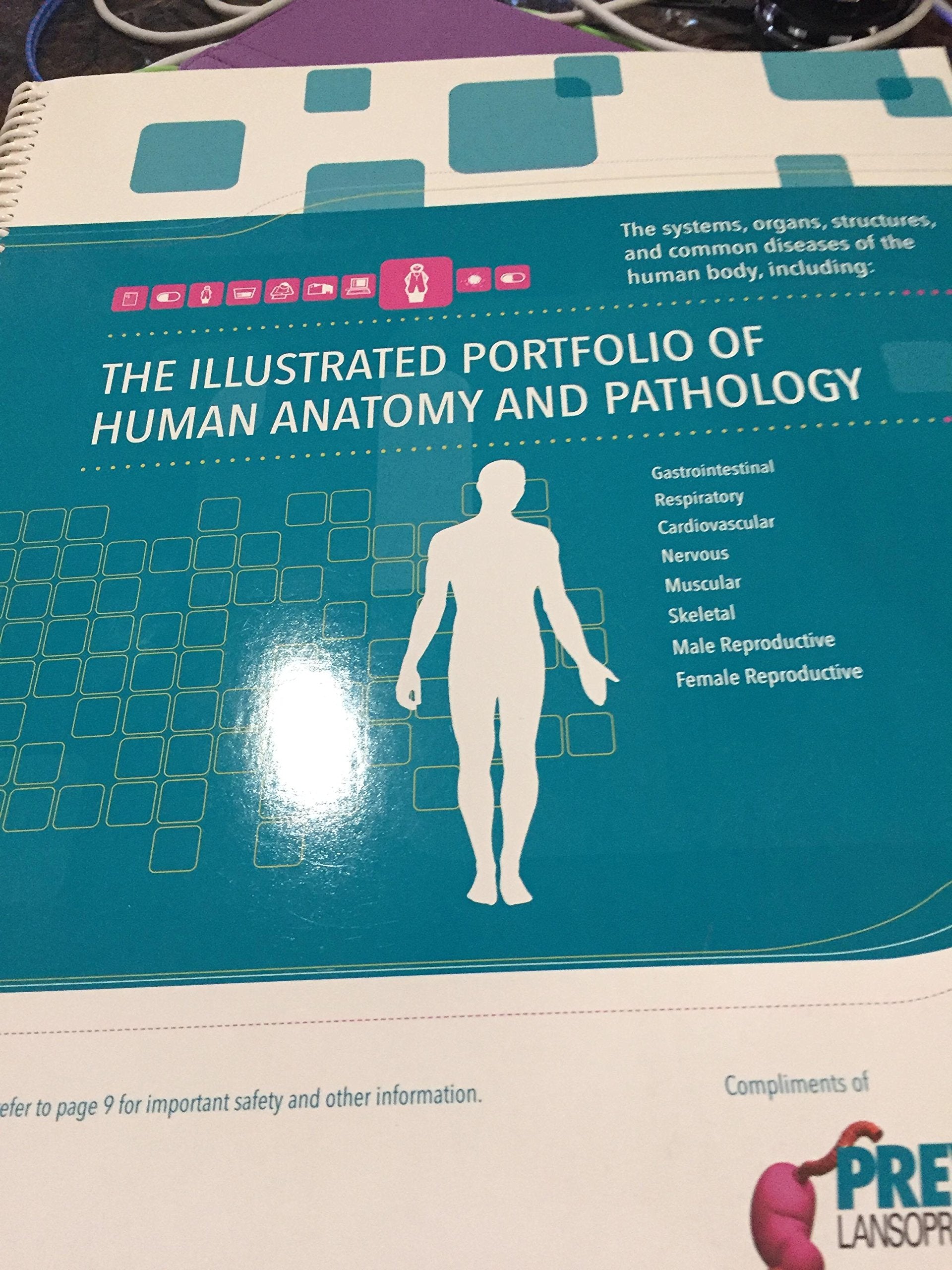The Illustrated Portfolio of Human Anatomy and Pathology