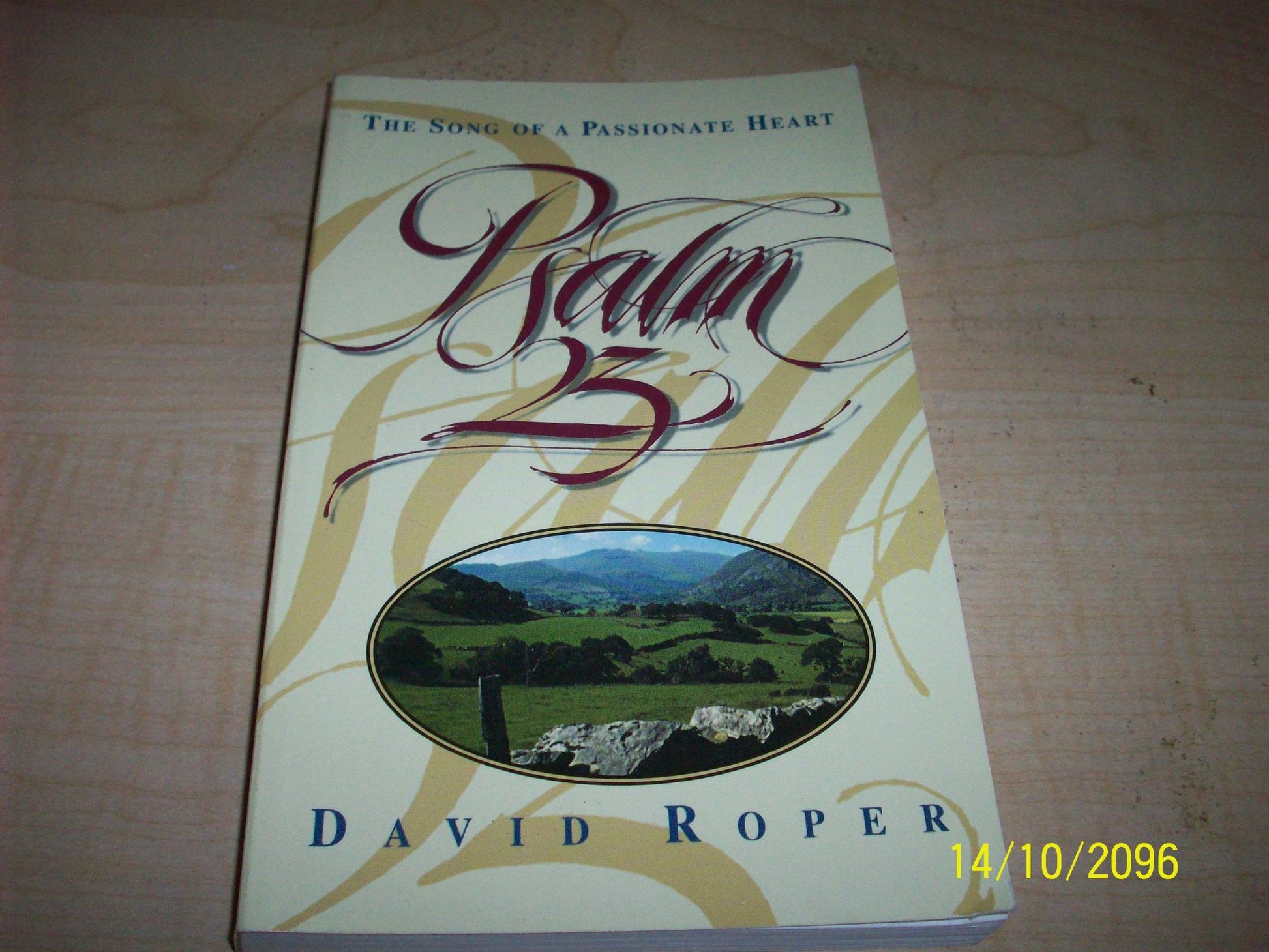 Psalm 23: The Song of a Passionate Heart used book depot