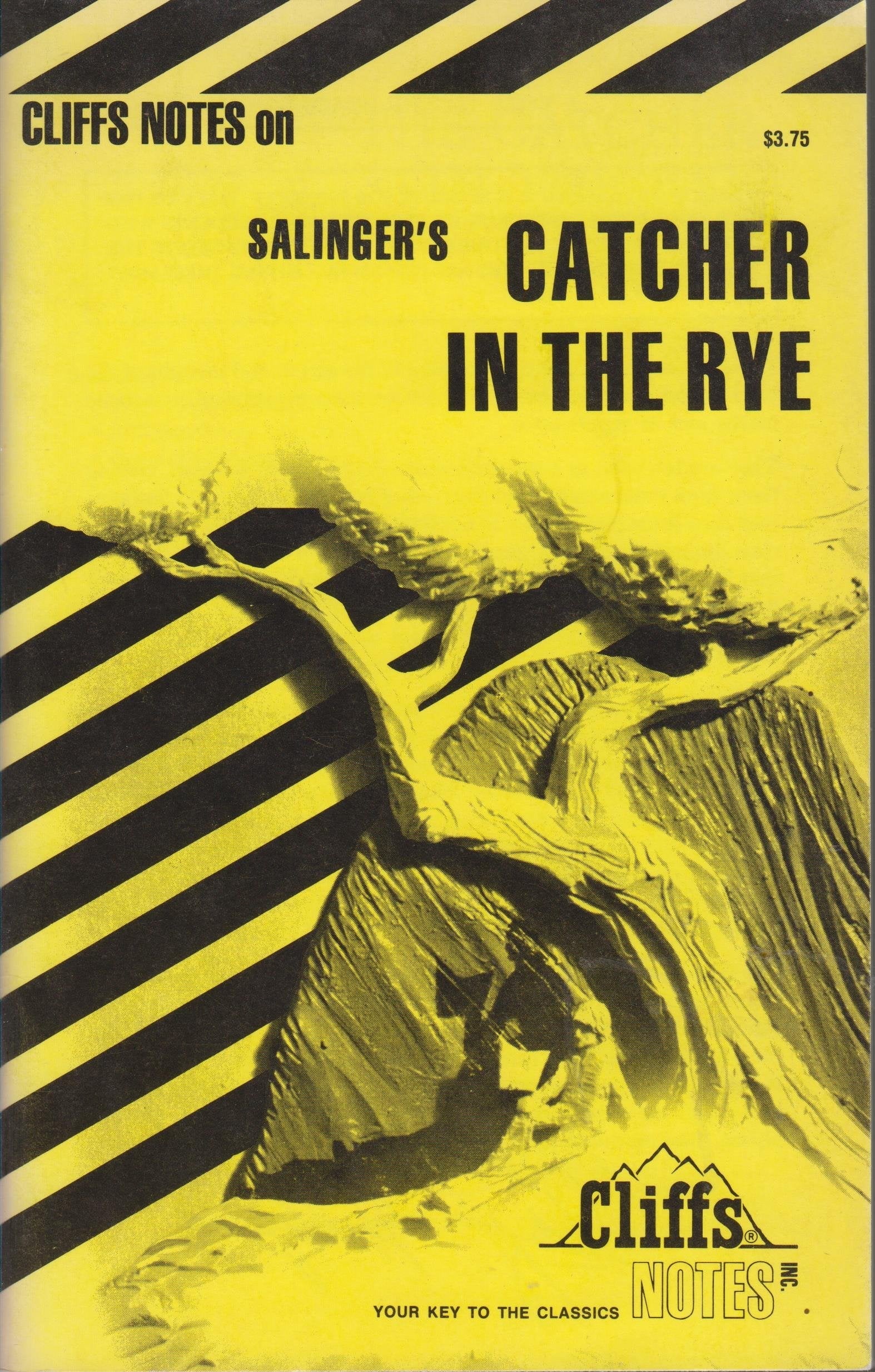 Salinger's the Catcher in the Rye (Cliffs Notes) used book depot