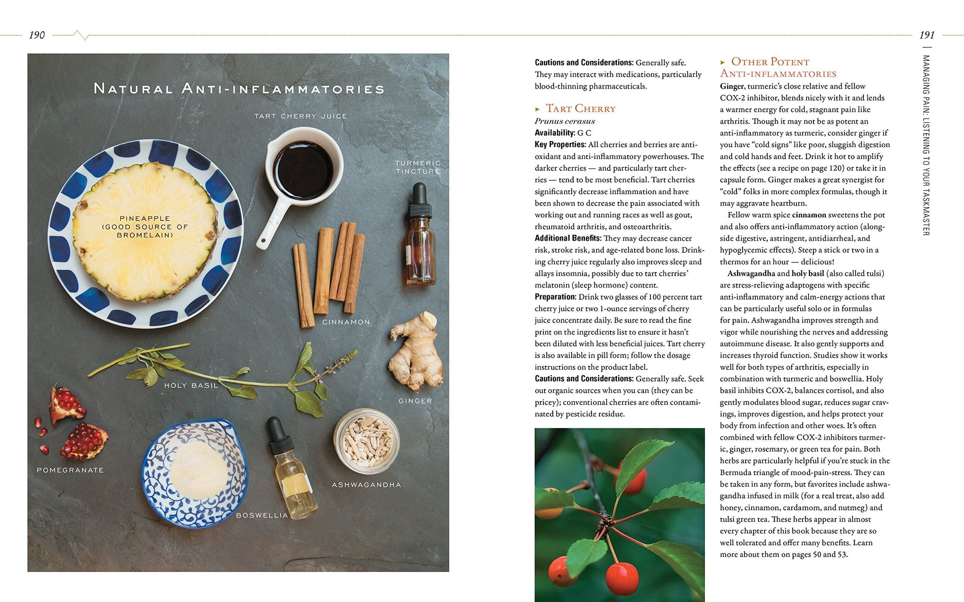 Body into Balance: An Herbal Guide to Holistic Self-Care used book depot