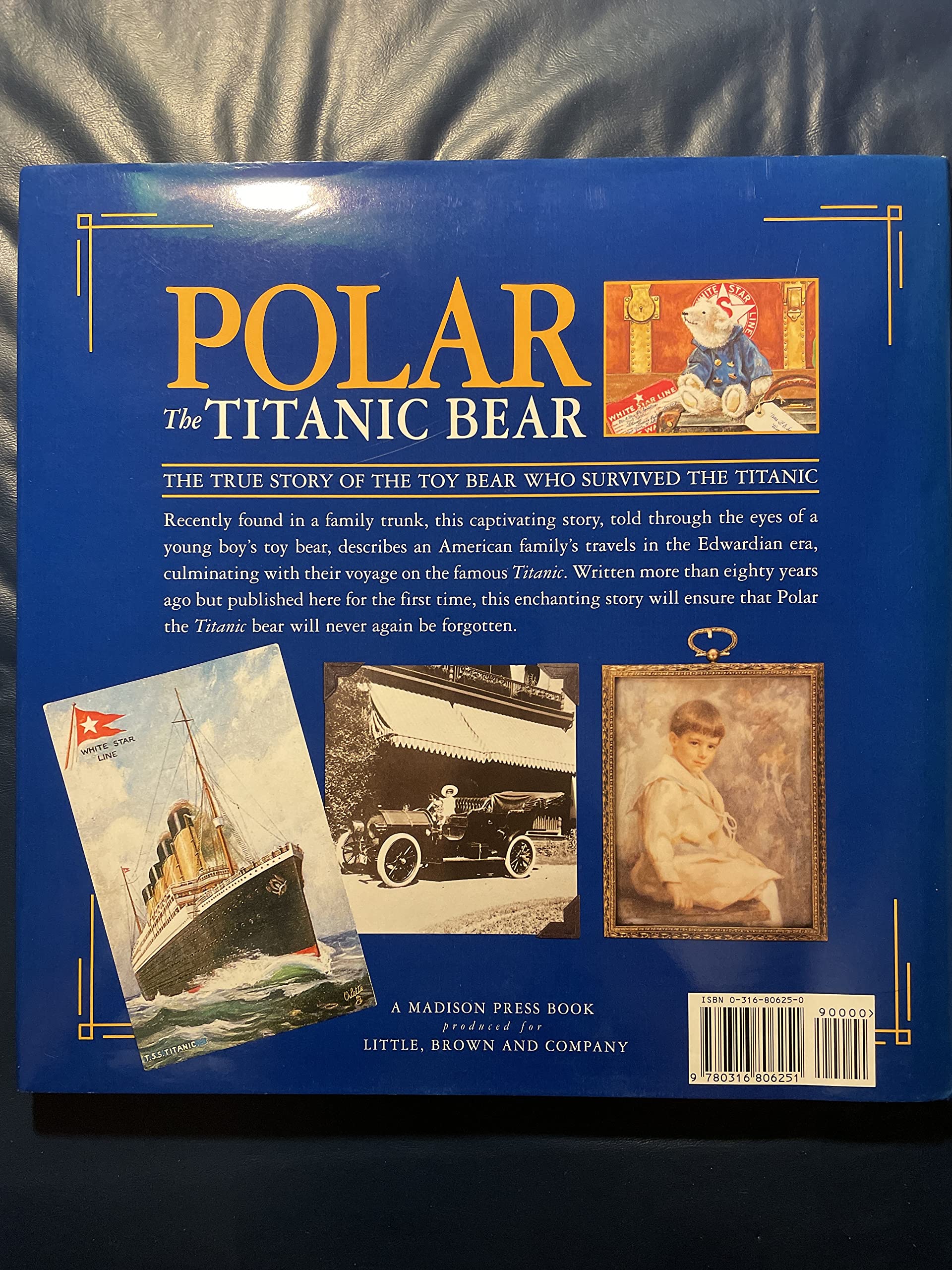 Polar the Titanic Bear used book depot