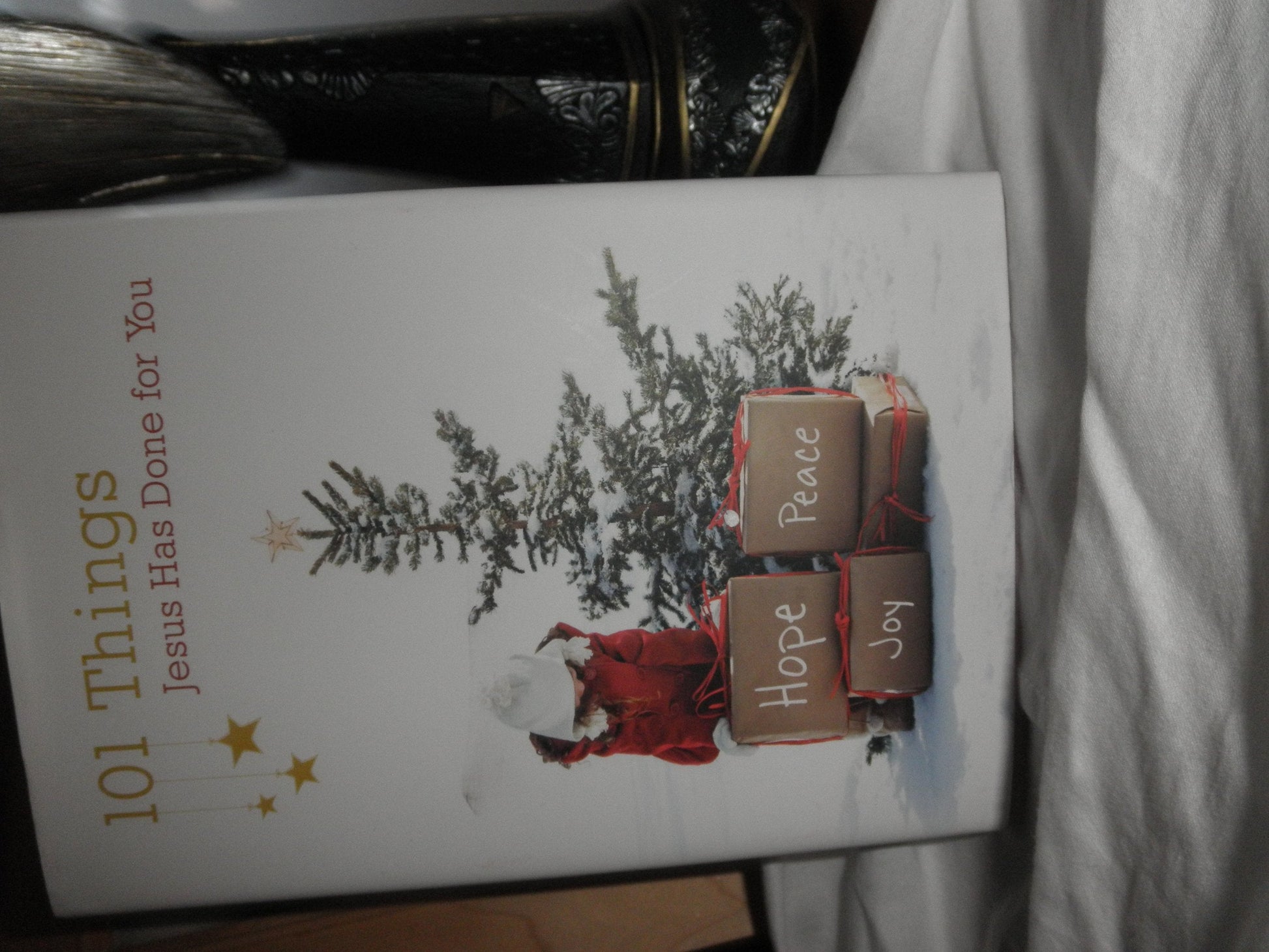 101 Things Jesus Has Done for You used book depot