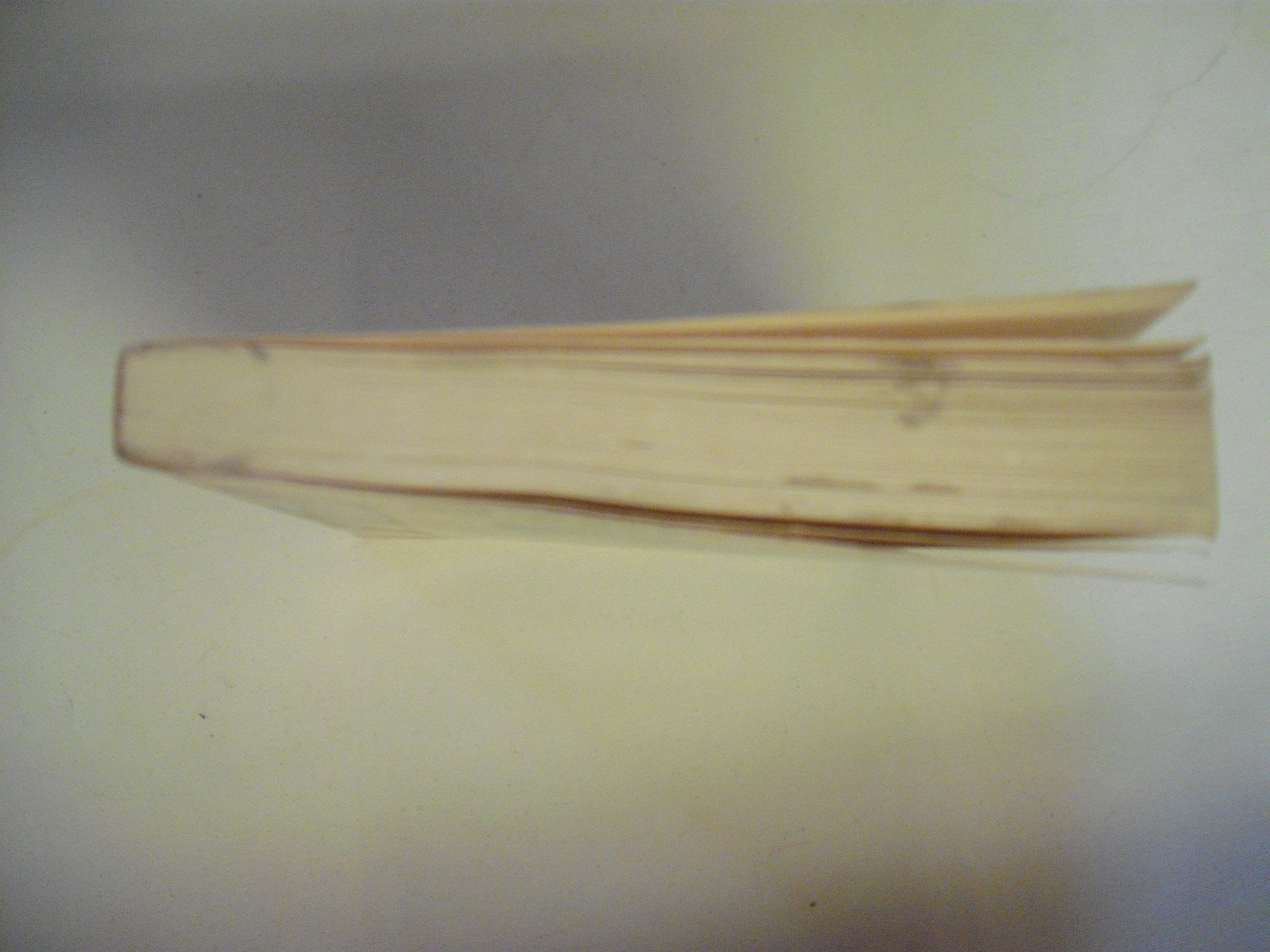 Enlightenment on the Run: Everyday Life As a Spiritual Path used book depot